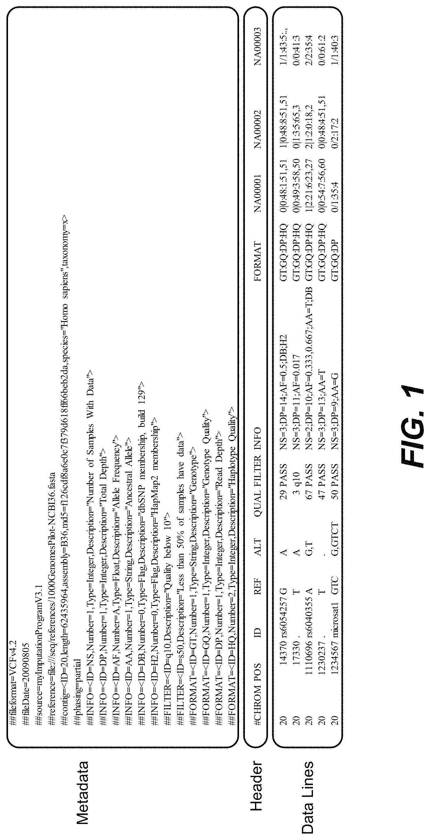 Patent US11783919 Figure 1 – Formatting and storage of genetic markers