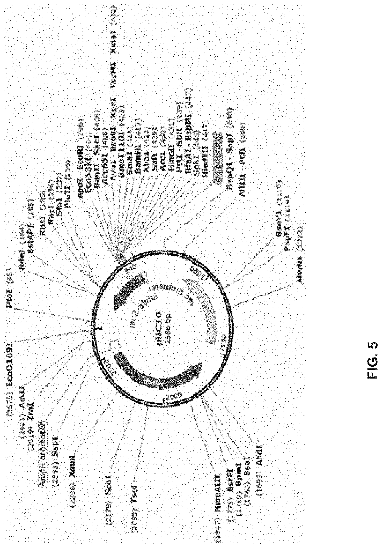 Patent US11783921 Figure 5 – Apparatuses, systems and methods for generating and tracking molecular digital signatures to ensure authenticity and integrity of synthetic DNA molecules