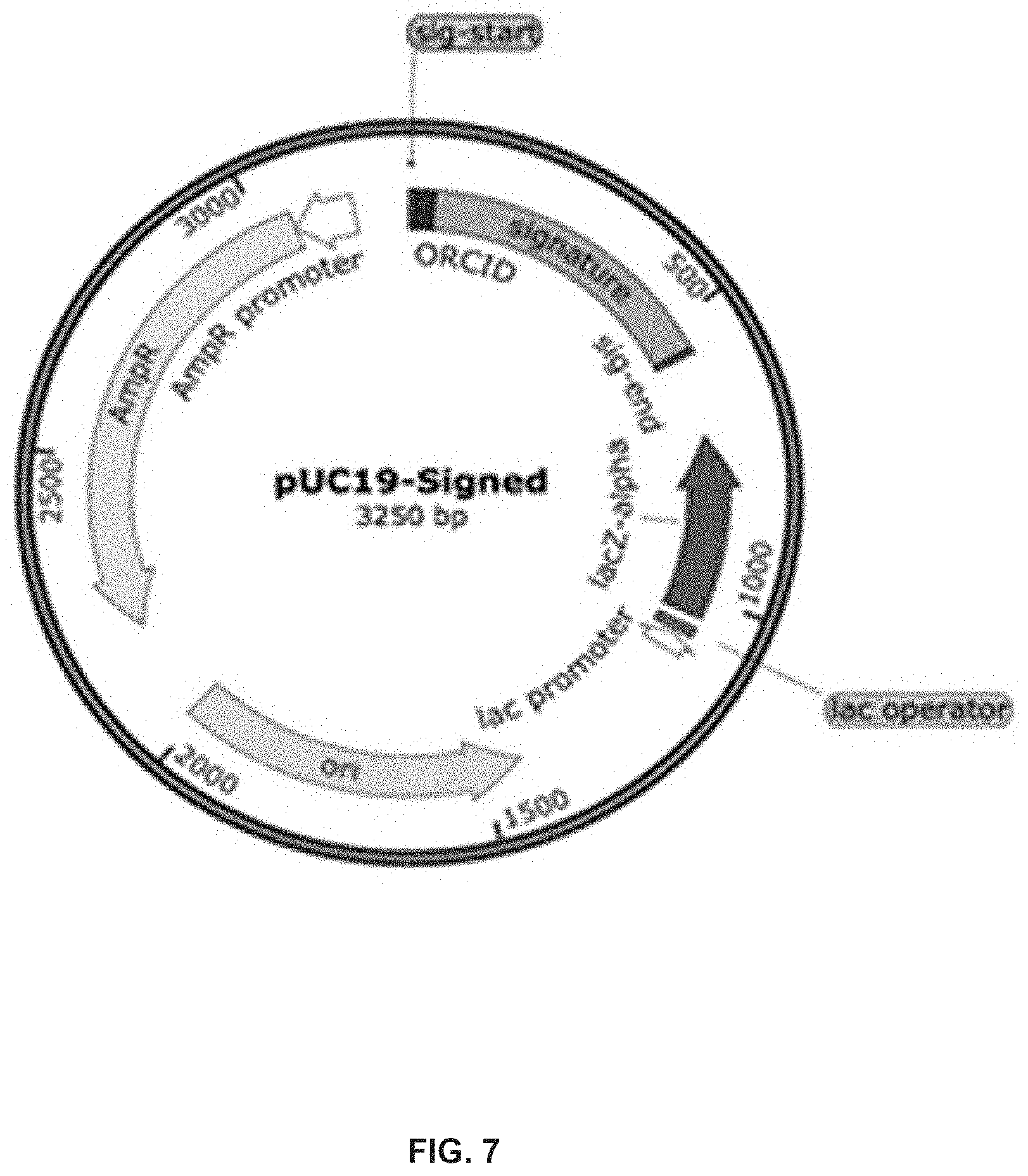 Patent US11783921 Figure 7 – Apparatuses, systems and methods for generating and tracking molecular digital signatures to ensure authenticity and integrity of synthetic DNA molecules