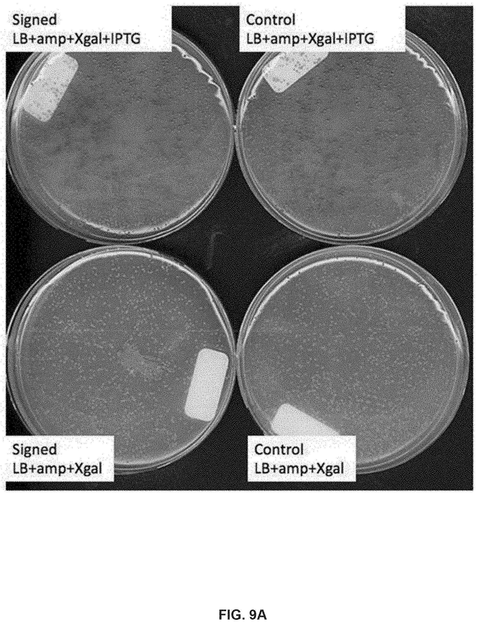 Patent US11783921 Figure 10 – Apparatuses, systems and methods for generating and tracking molecular digital signatures to ensure authenticity and integrity of synthetic DNA molecules