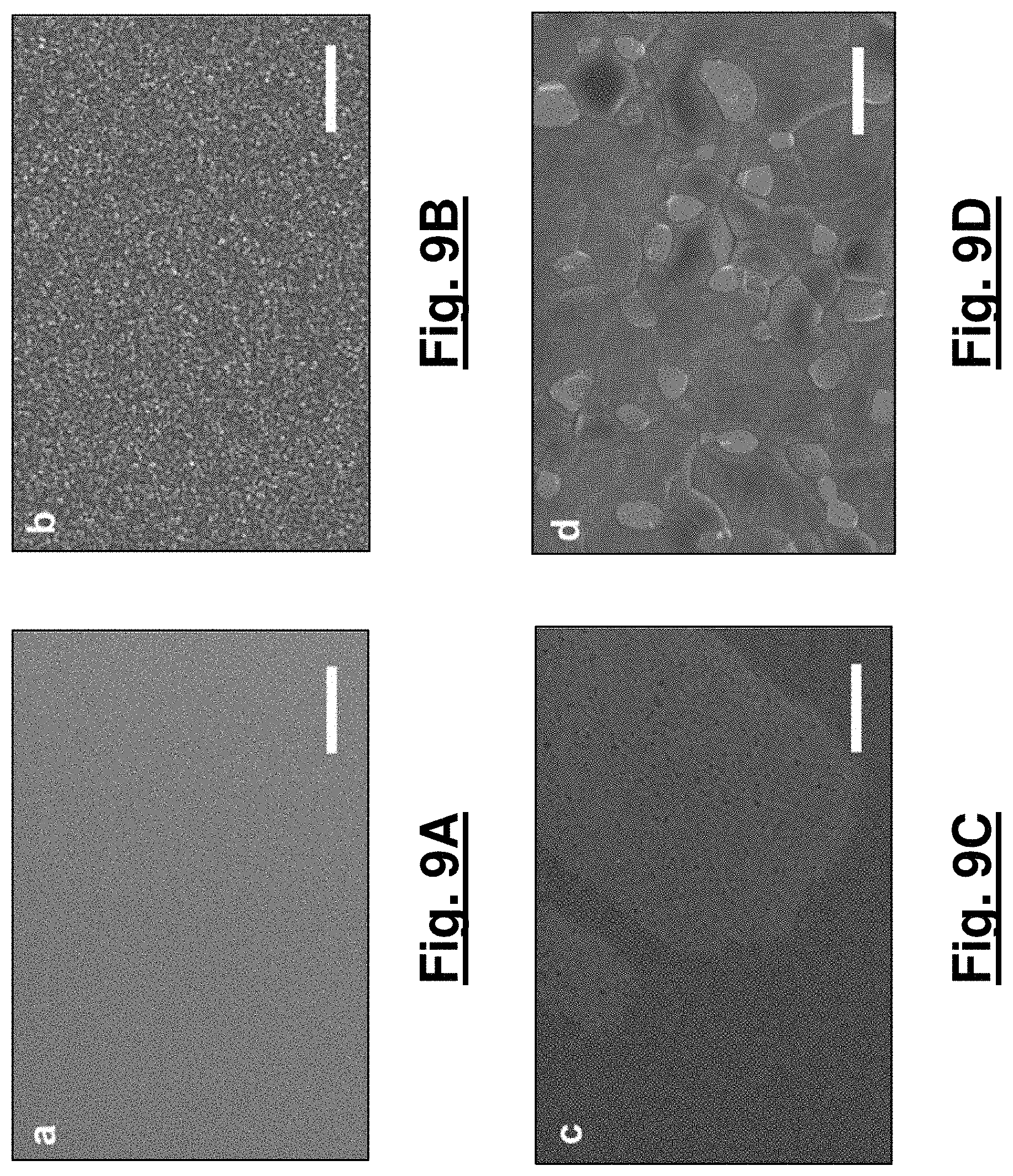 Patent US11784009 Figure 8 – Flexible inorganic perovskite solar cells and room-temperature processing thereof
