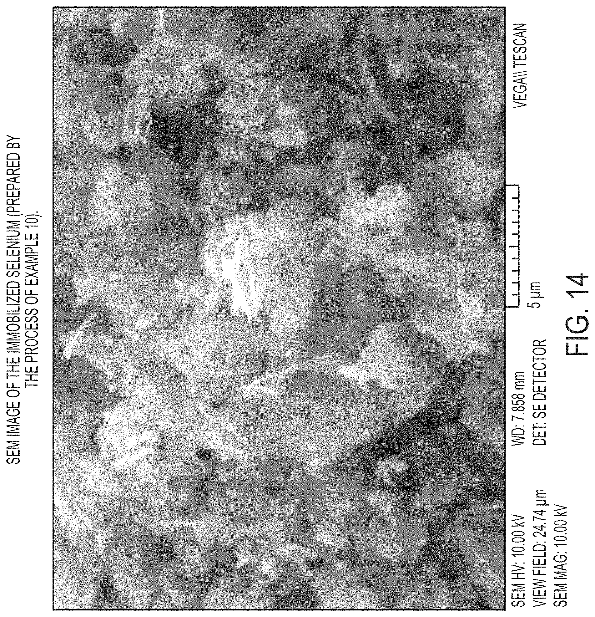 Patent US11784303 Figure 18 – Immobilized chalcogen and use thereof in a rechargeable battery