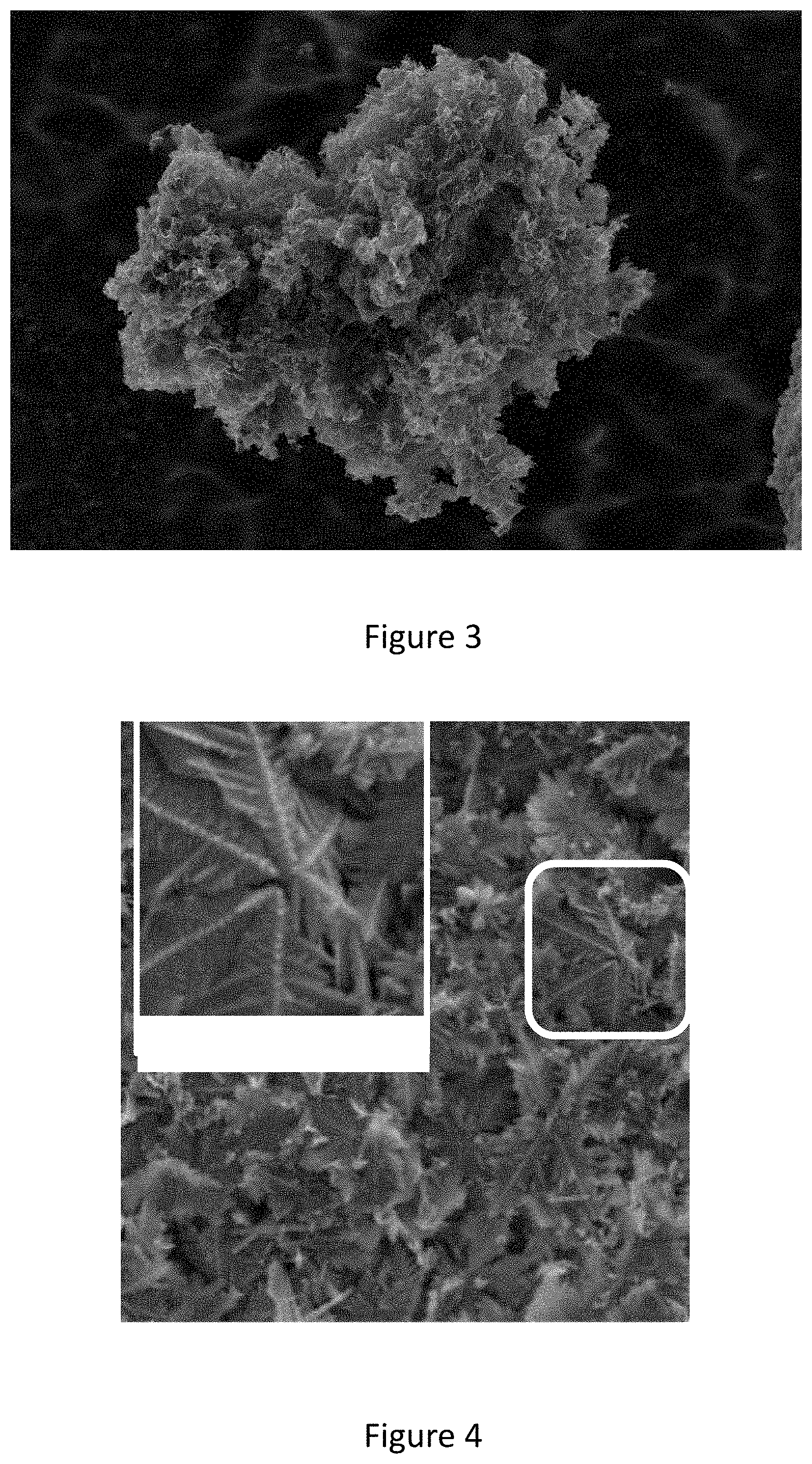 Patent US11784321 Figure 4 – Electrocatalysts with branched-type porosity