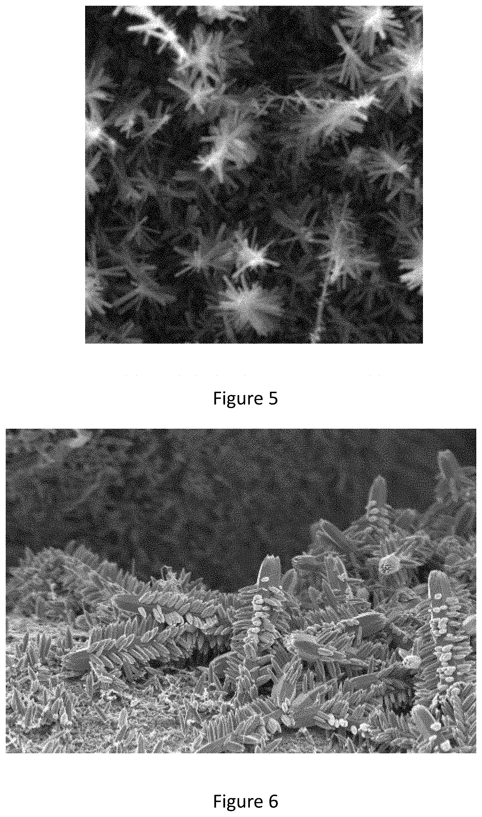 Patent US11784321 Figure 5 – Electrocatalysts with branched-type porosity