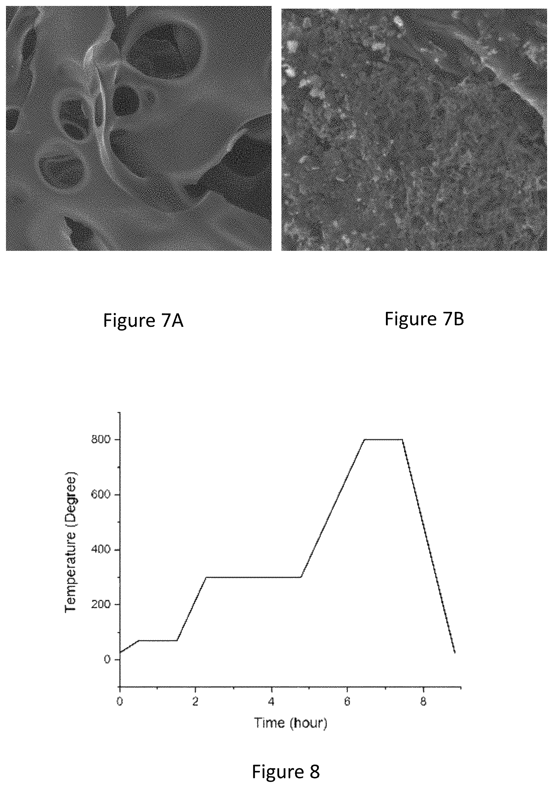 Patent US11784321 Figure 6 – Electrocatalysts with branched-type porosity