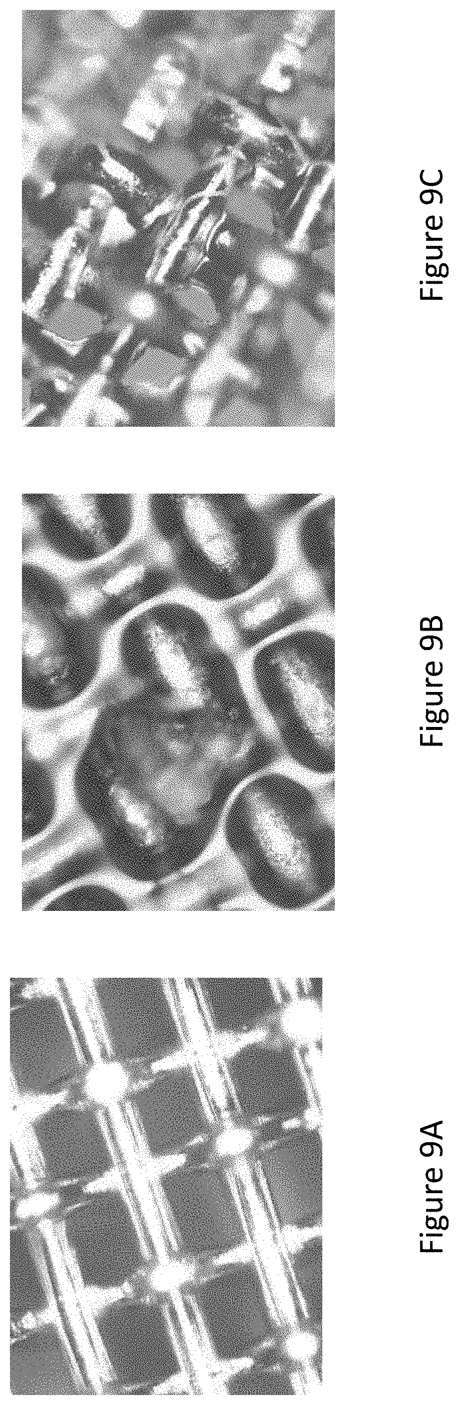 Patent US11784321 Figure 7 – Electrocatalysts with branched-type porosity