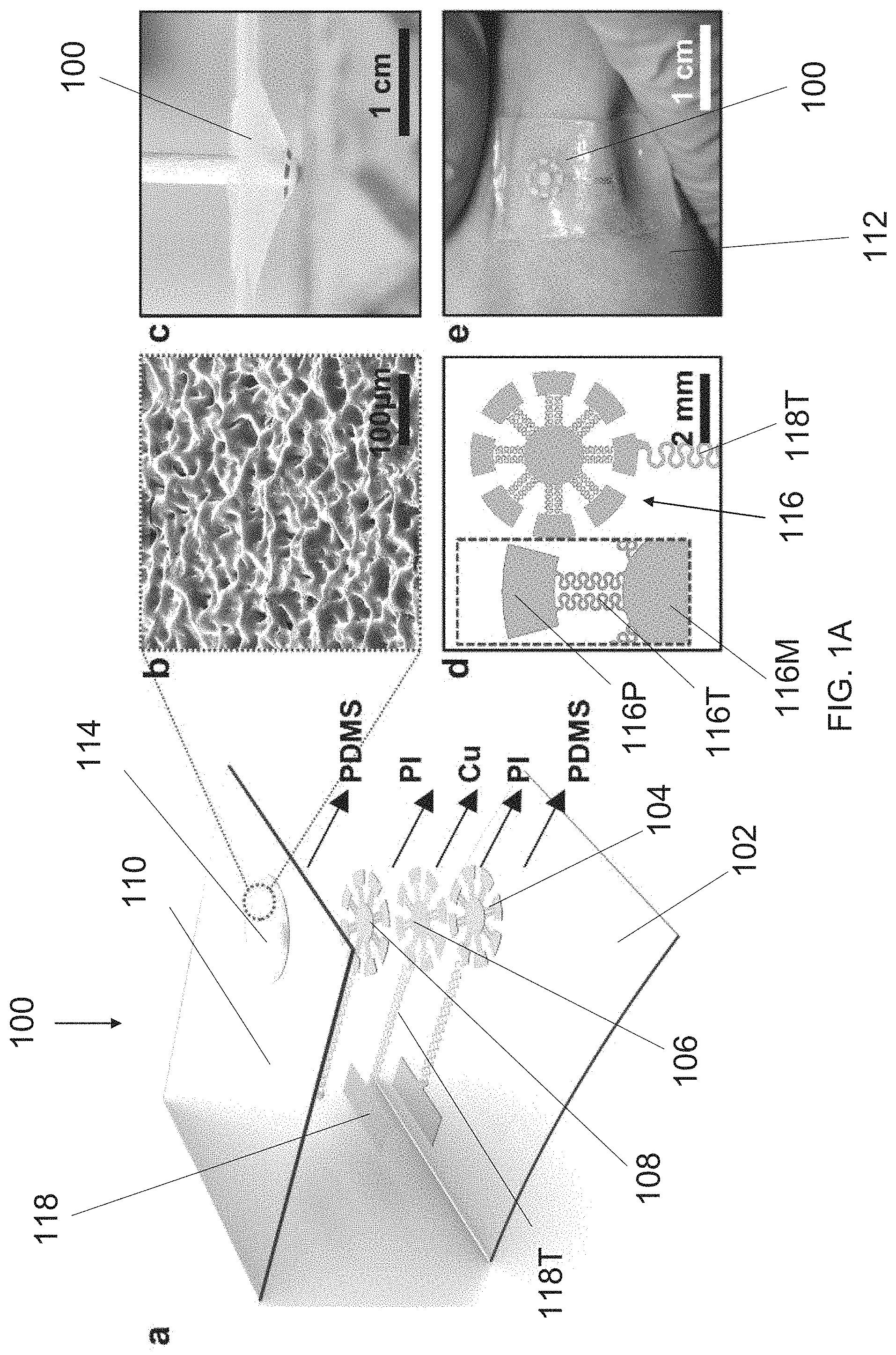 Patent US11784587 Figure 1 – Electronic sensing apparatus and a method of producing the electronic sensing apparatus