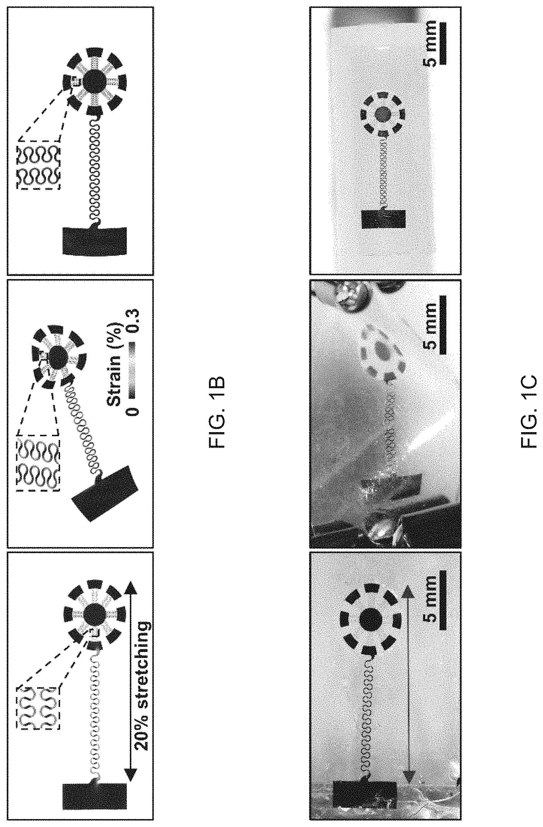 Patent US11784587 Figure 2 – Electronic sensing apparatus and a method of producing the electronic sensing apparatus