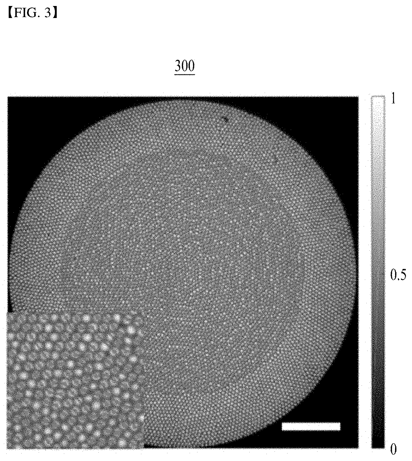 Patent US11785348 Figure 3 – Endoscopic reflection microscope using optical fiber bundle and image acquisition method using the same