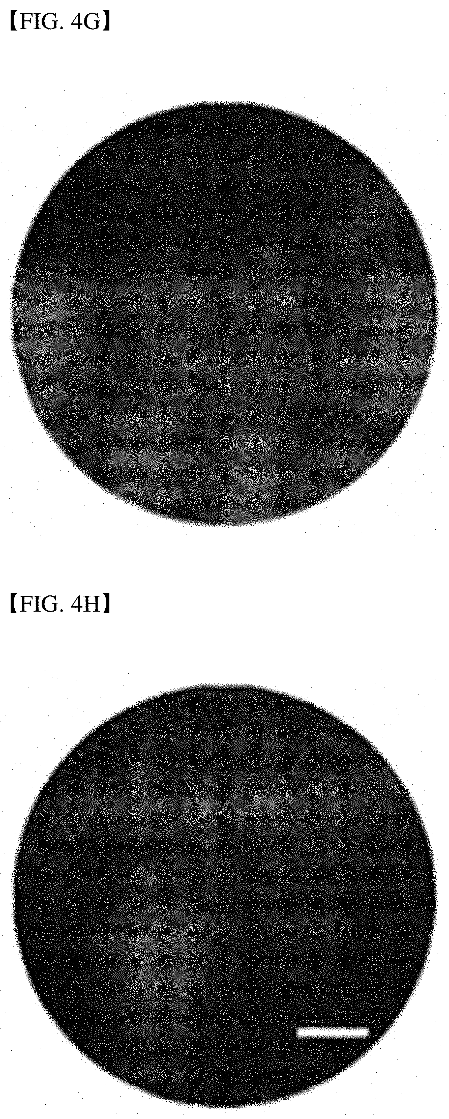 Patent US11785348 Figure 7 – Endoscopic reflection microscope using optical fiber bundle and image acquisition method using the same
