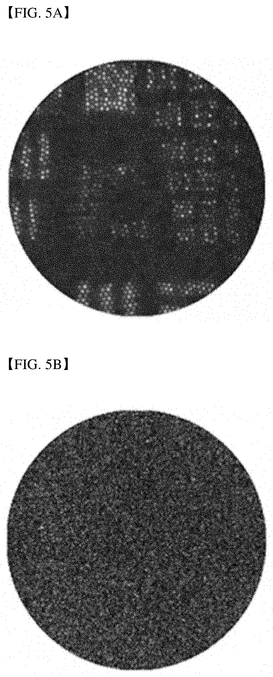 Patent US11785348 Figure 8 – Endoscopic reflection microscope using optical fiber bundle and image acquisition method using the same