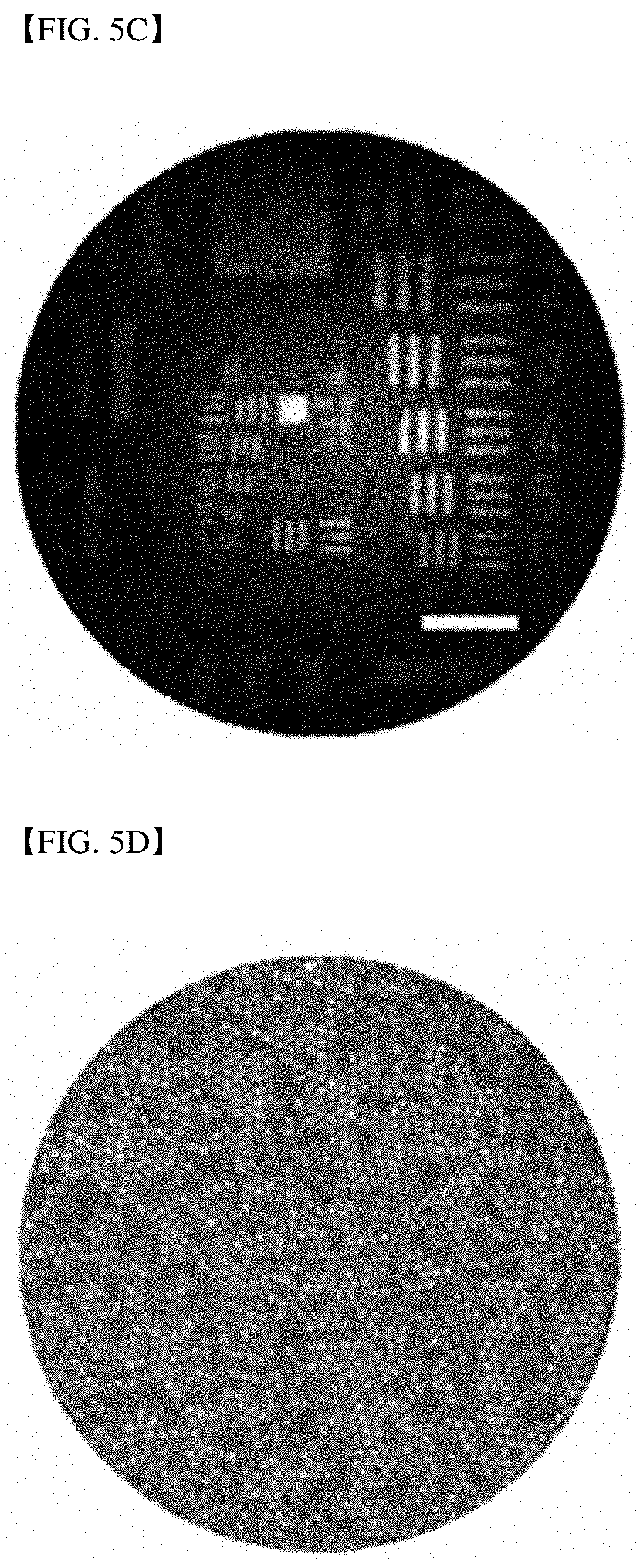 Patent US11785348 Figure 9 – Endoscopic reflection microscope using optical fiber bundle and image acquisition method using the same