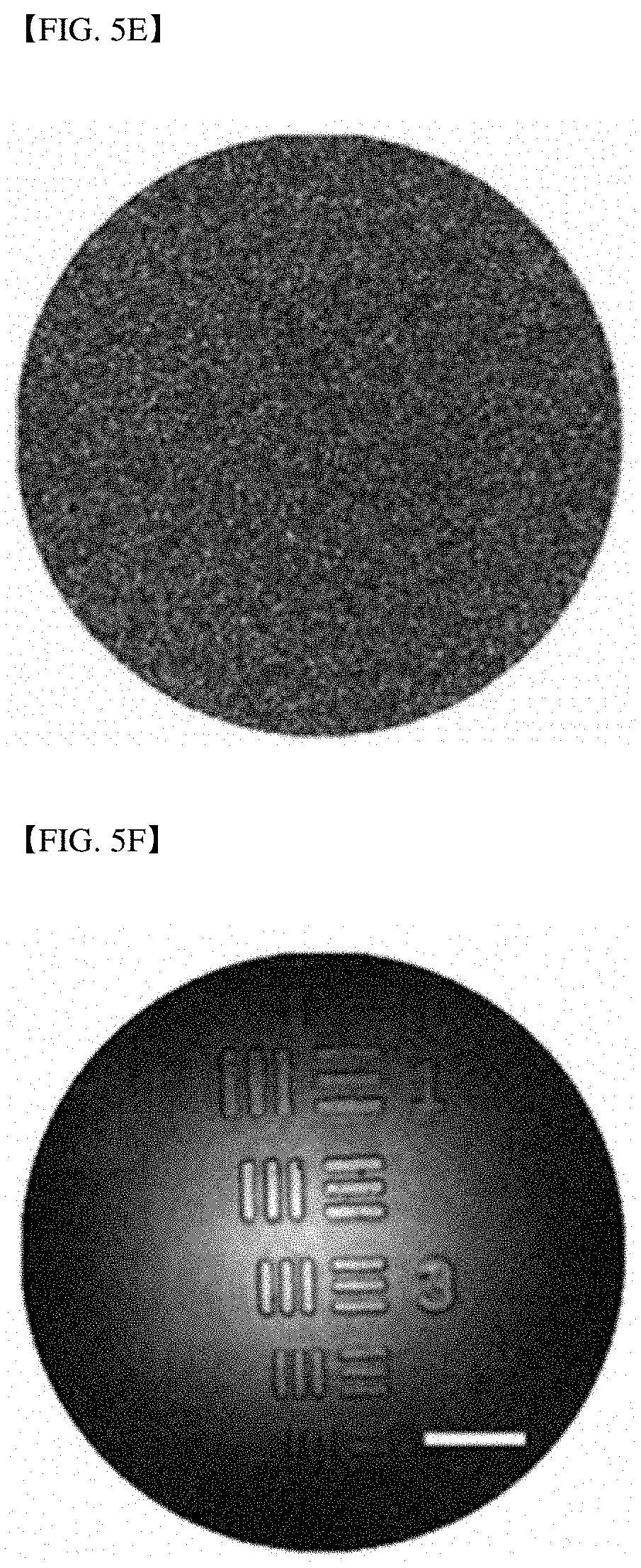 Patent US11785348 Figure 10 – Endoscopic reflection microscope using optical fiber bundle and image acquisition method using the same
