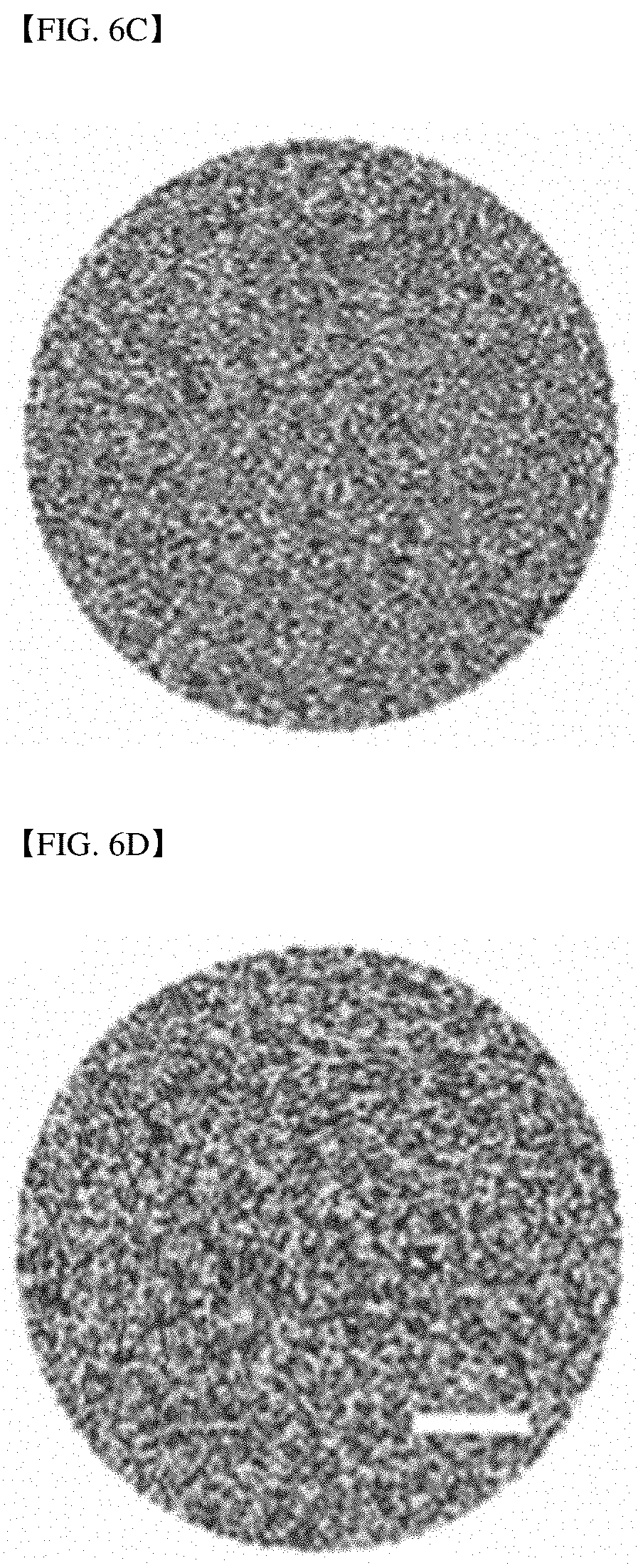 Patent US11785348 Figure 12 – Endoscopic reflection microscope using optical fiber bundle and image acquisition method using the same