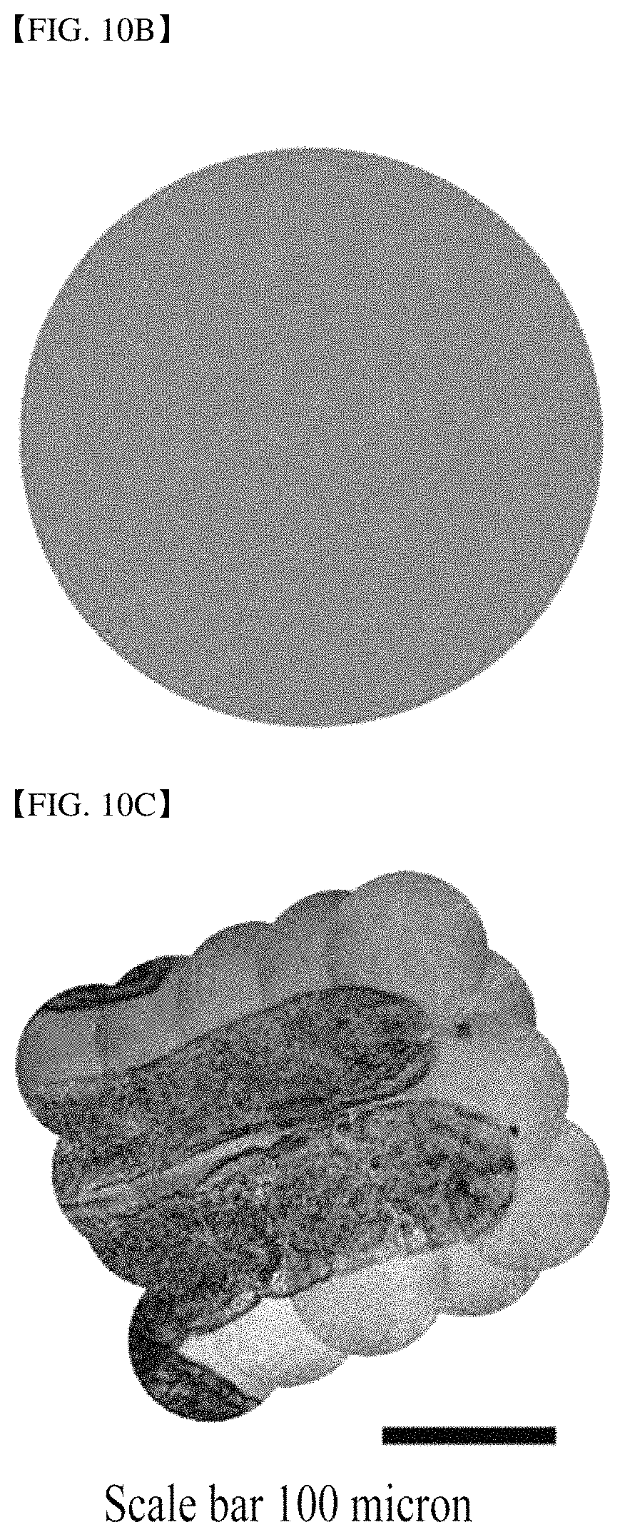 Patent US11785348 Figure 17 – Endoscopic reflection microscope using optical fiber bundle and image acquisition method using the same