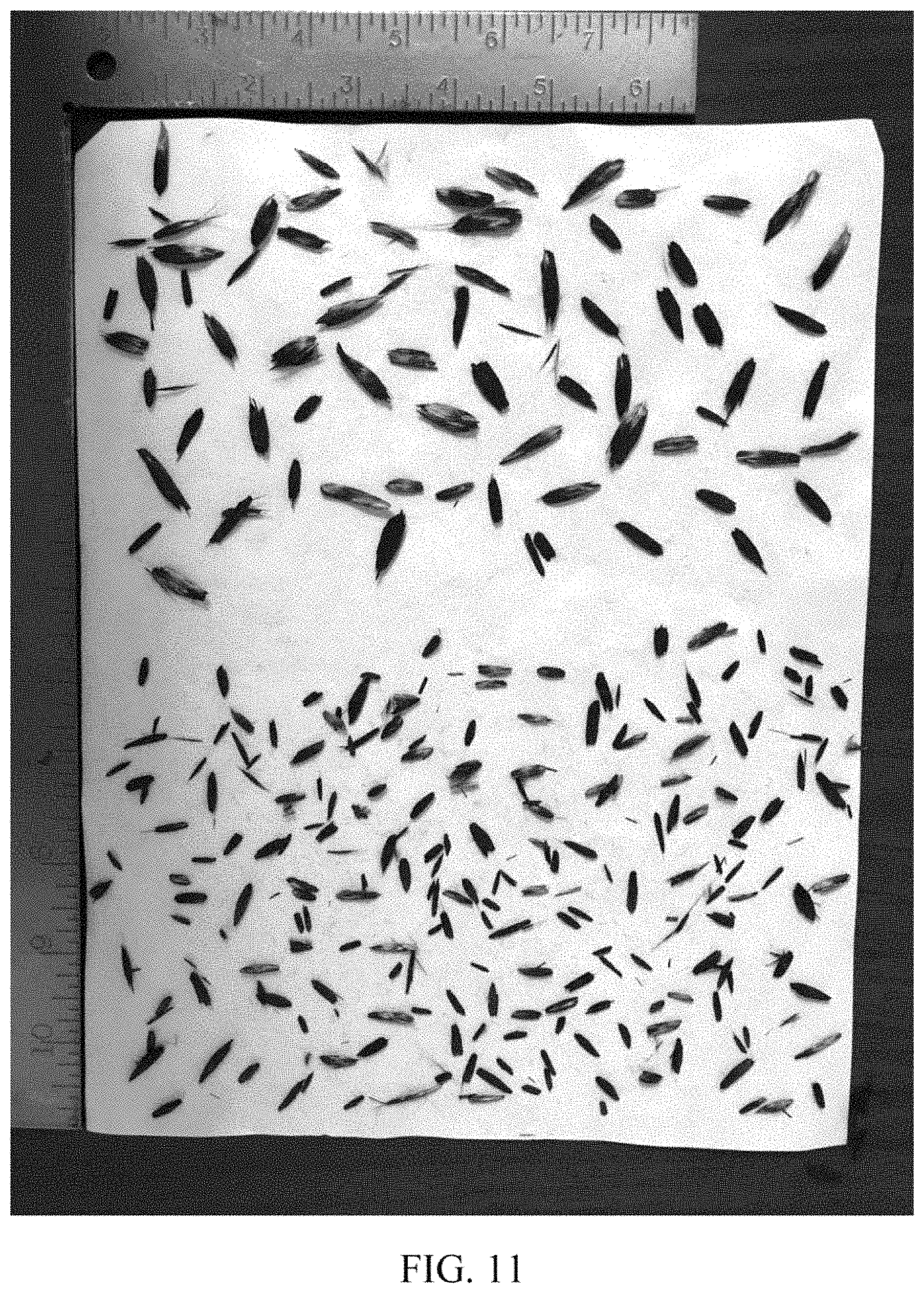 Patent US11787085 Figure 6 – Methods of making and using bulk products including fiber-containing particles with dual-tapered shape