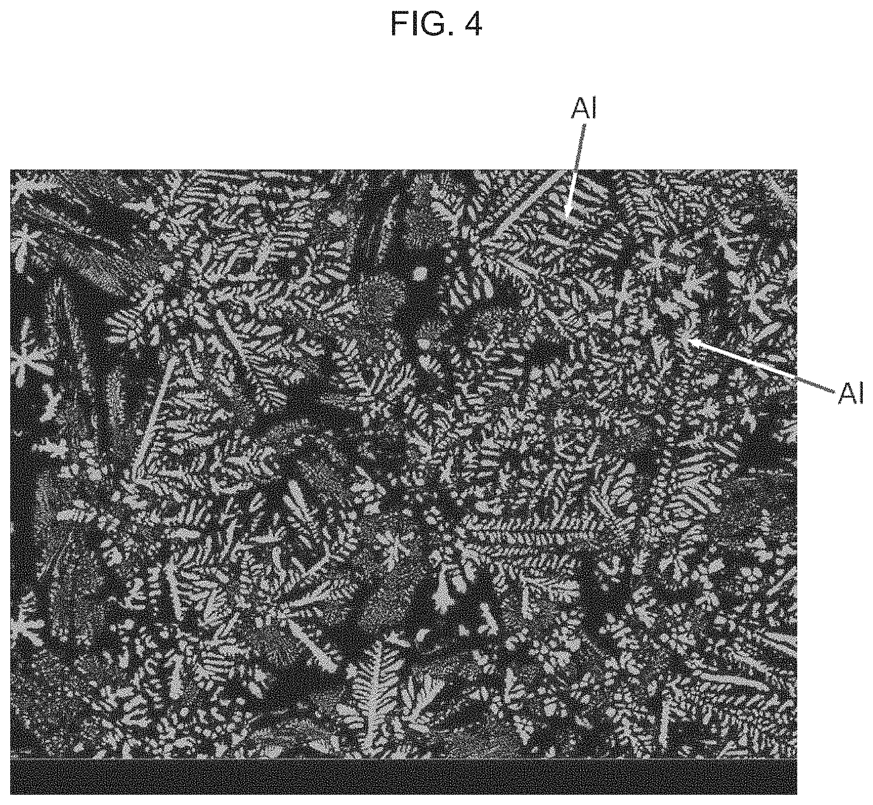 Patent US11787156 Figure 4 – Coated steel material