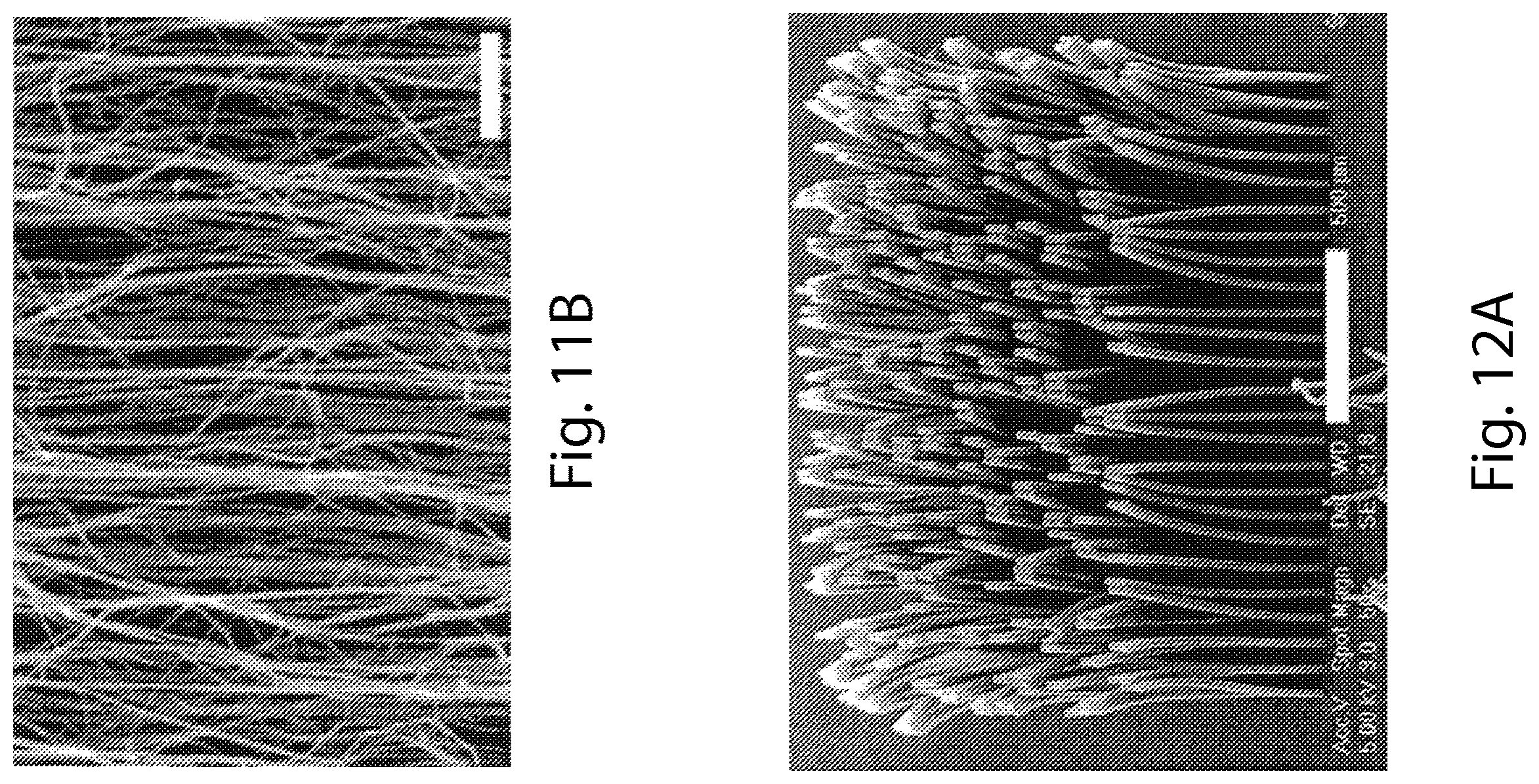 Patent US11787691 Figure 14 – Continuous process for the production of nanostructures including nanotubes