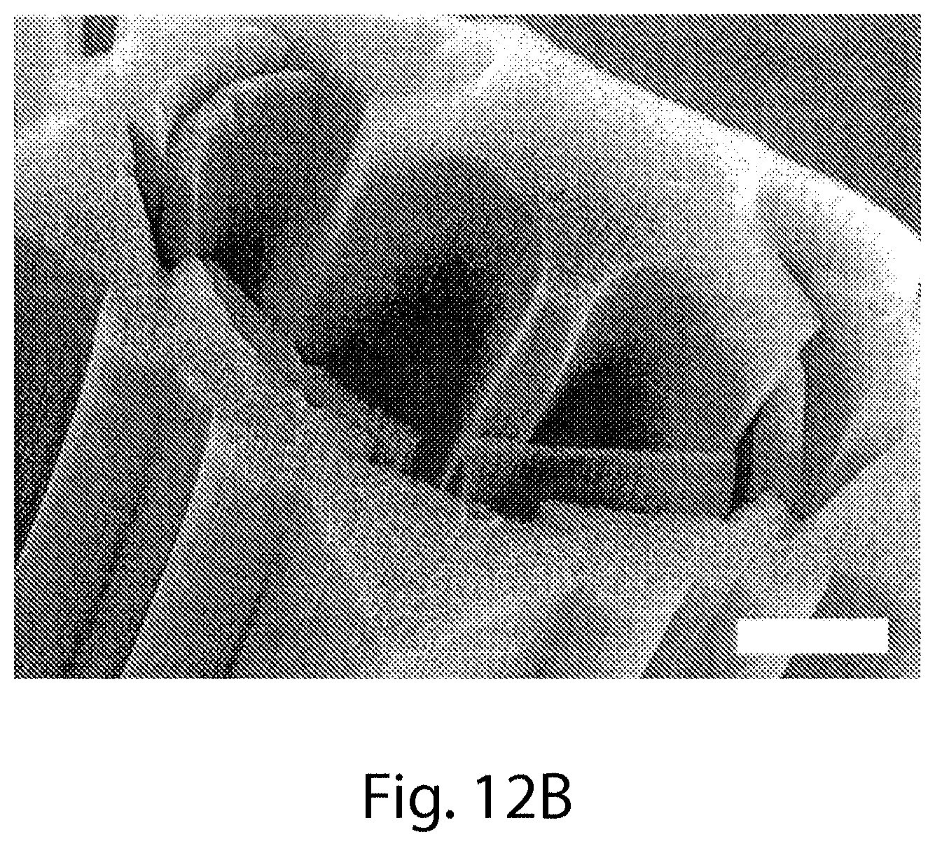 Patent US11787691 Figure 15 – Continuous process for the production of nanostructures including nanotubes
