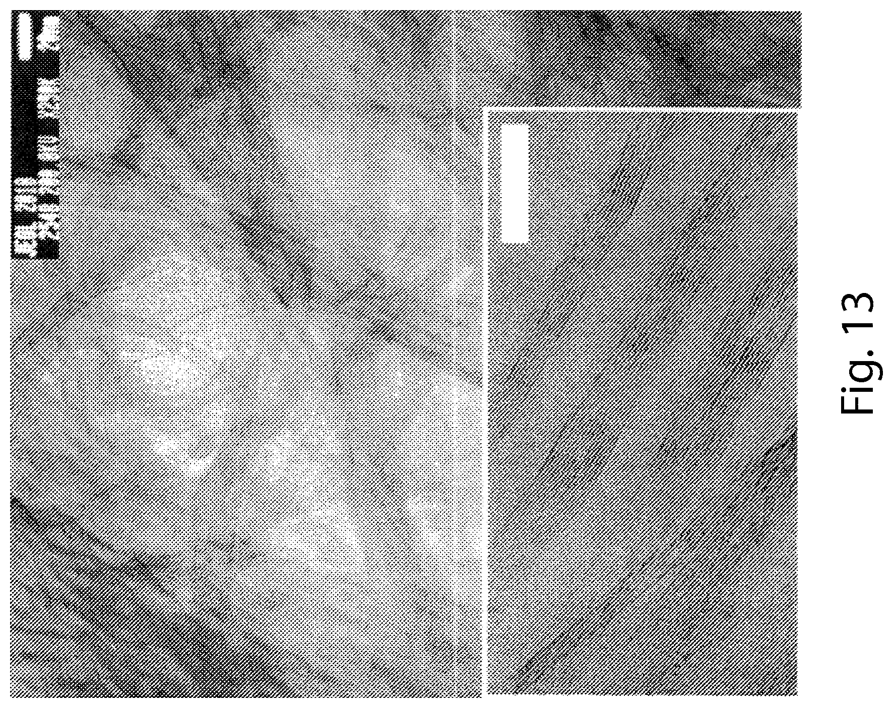 Patent US11787691 Figure 16 – Continuous process for the production of nanostructures including nanotubes