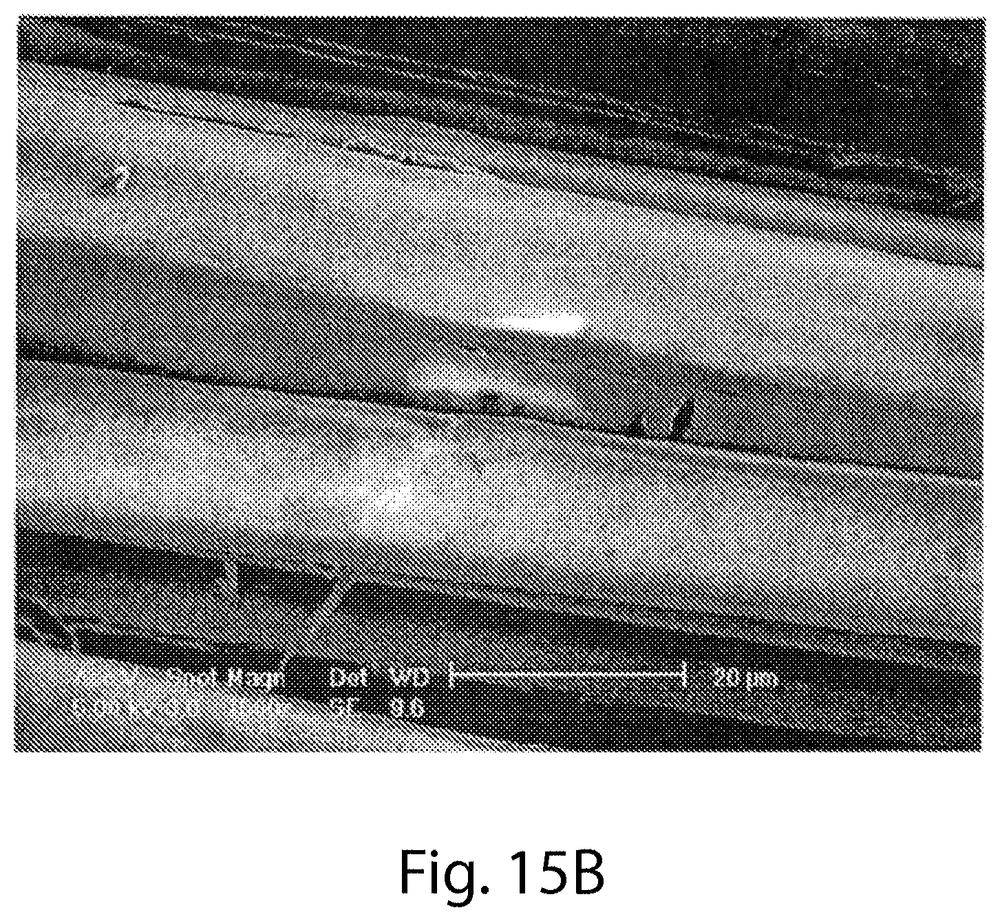 Patent US11787691 Figure 19 – Continuous process for the production of nanostructures including nanotubes