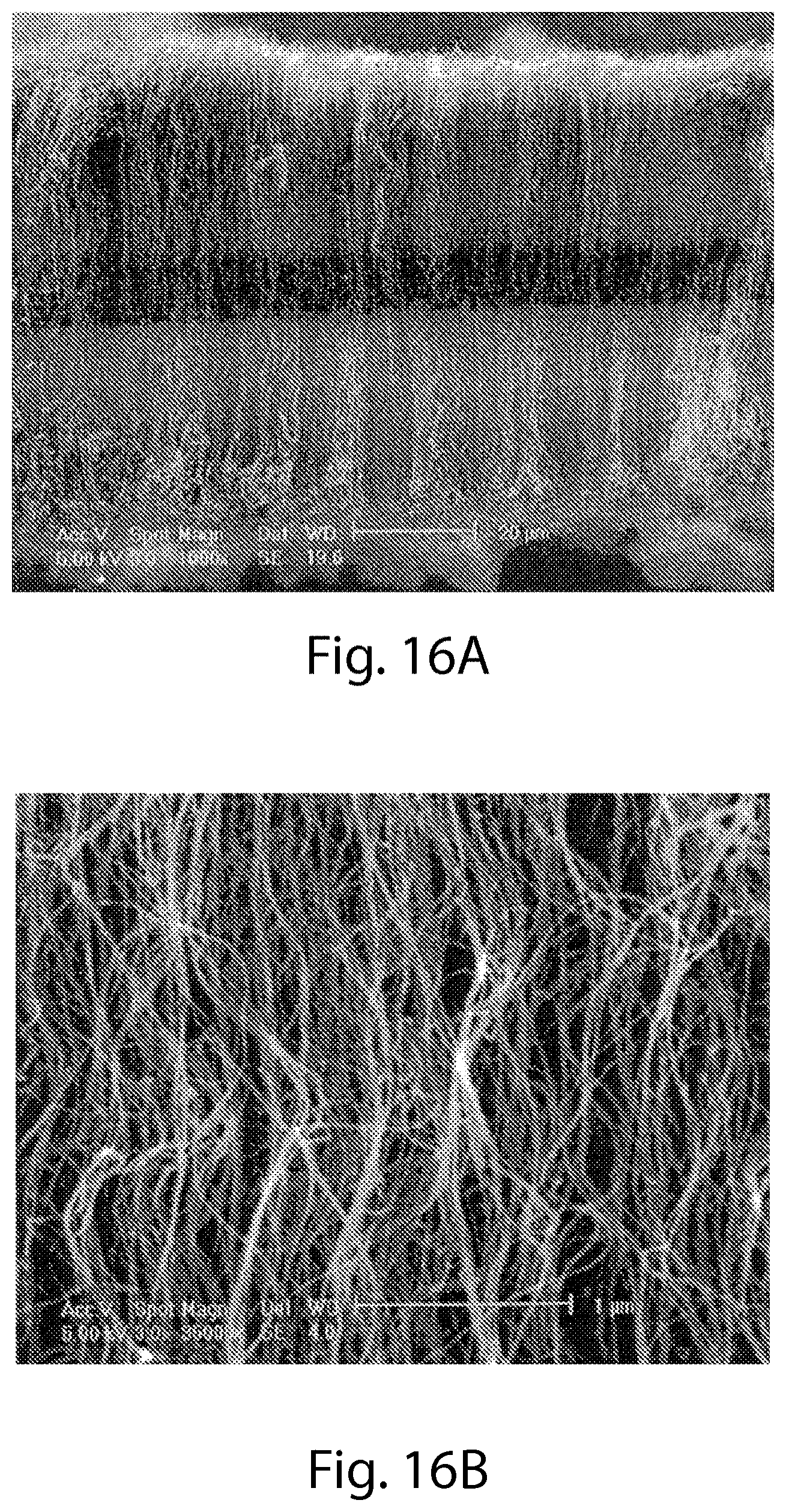 Patent US11787691 Figure 20 – Continuous process for the production of nanostructures including nanotubes