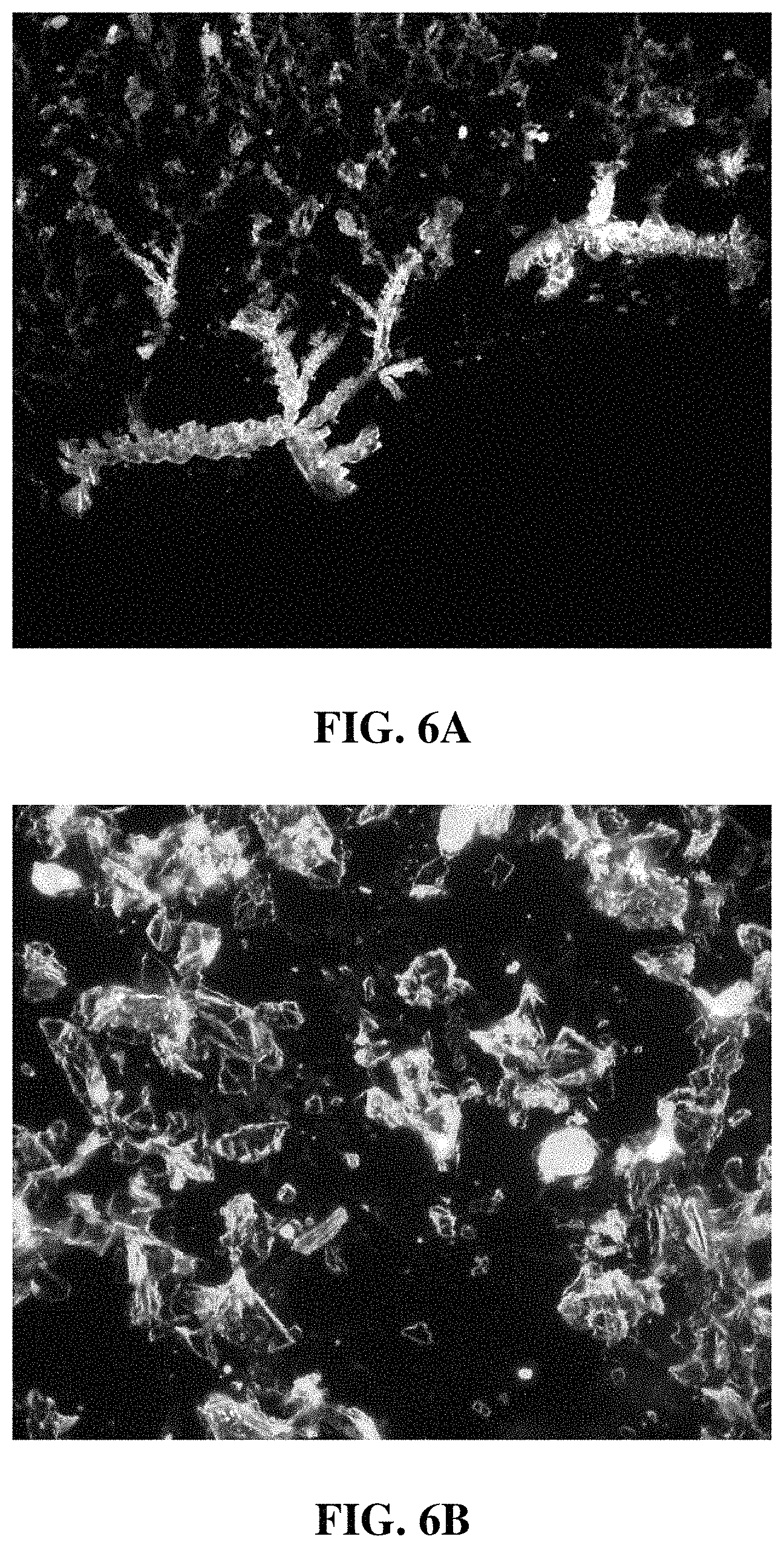 Patent US11787698 Figure 6 – Purification and drying of graphene oxide