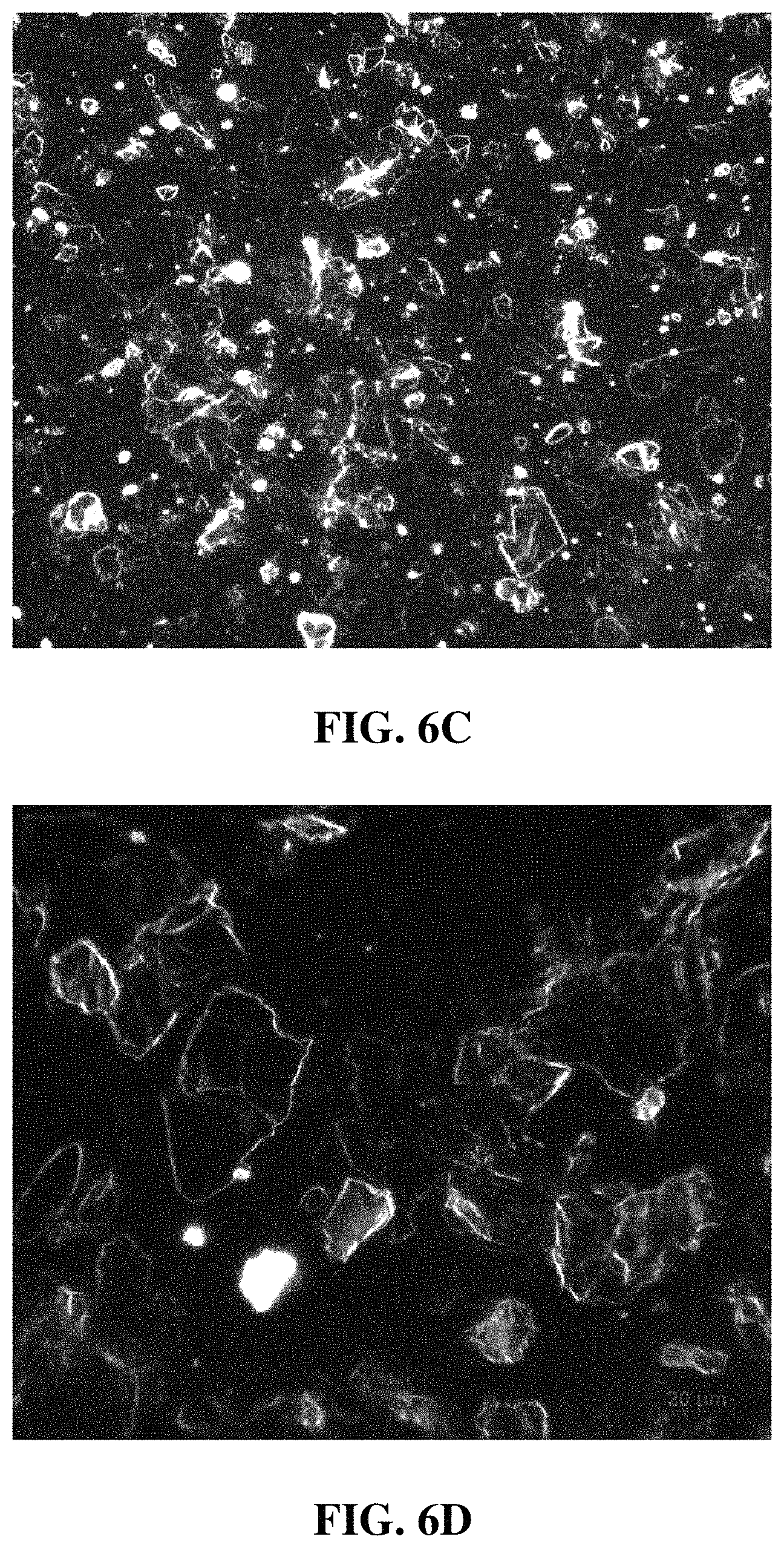 Patent US11787698 Figure 7 – Purification and drying of graphene oxide