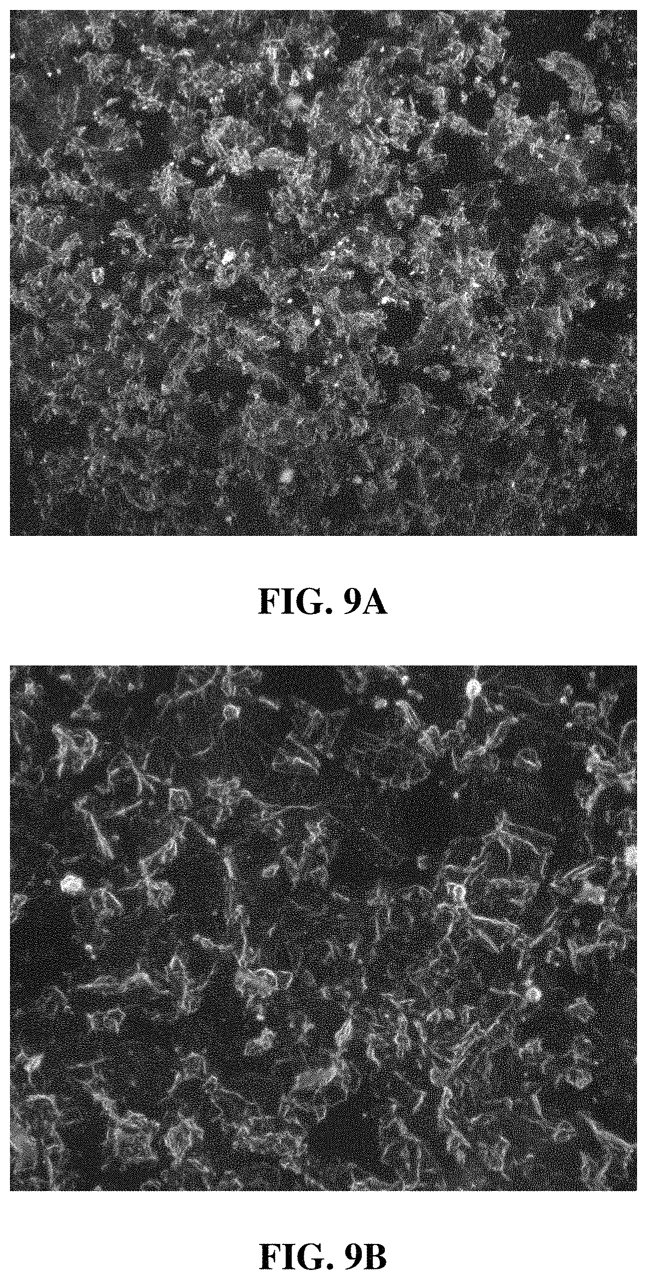 Patent US11787698 Figure 9 – Purification and drying of graphene oxide