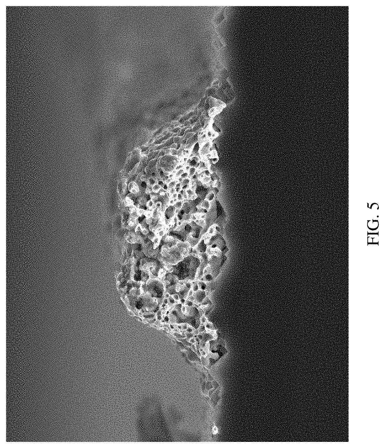 Patent US11787730 Figure 5 – Glass powder and silver paste comprising same