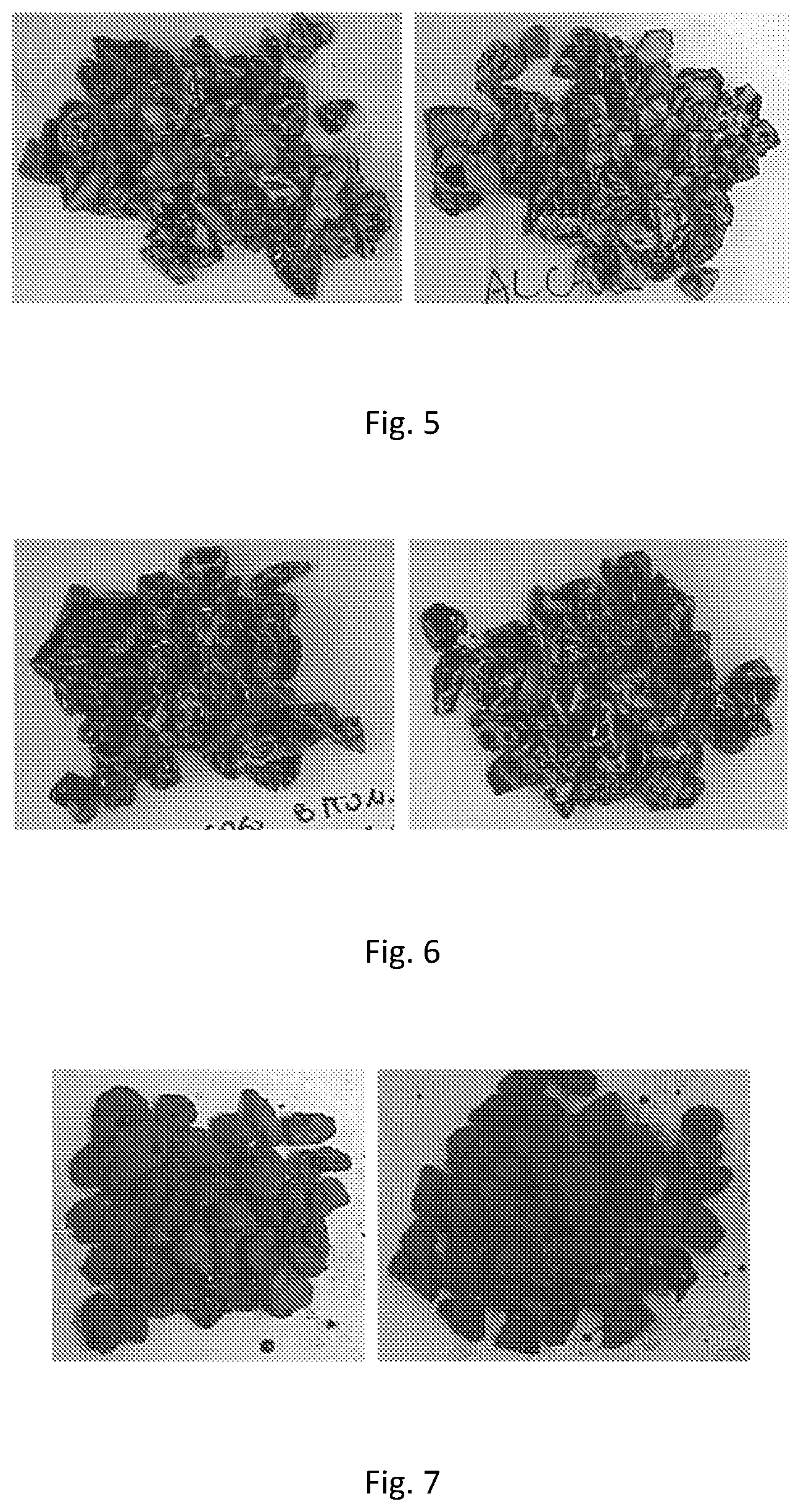 Patent US11787738 Figure 3 – Preparations for industrial use and their production methods