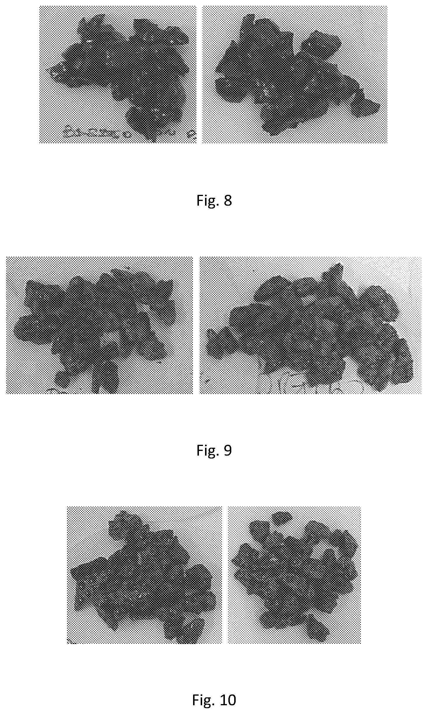 Patent US11787738 Figure 4 – Preparations for industrial use and their production methods