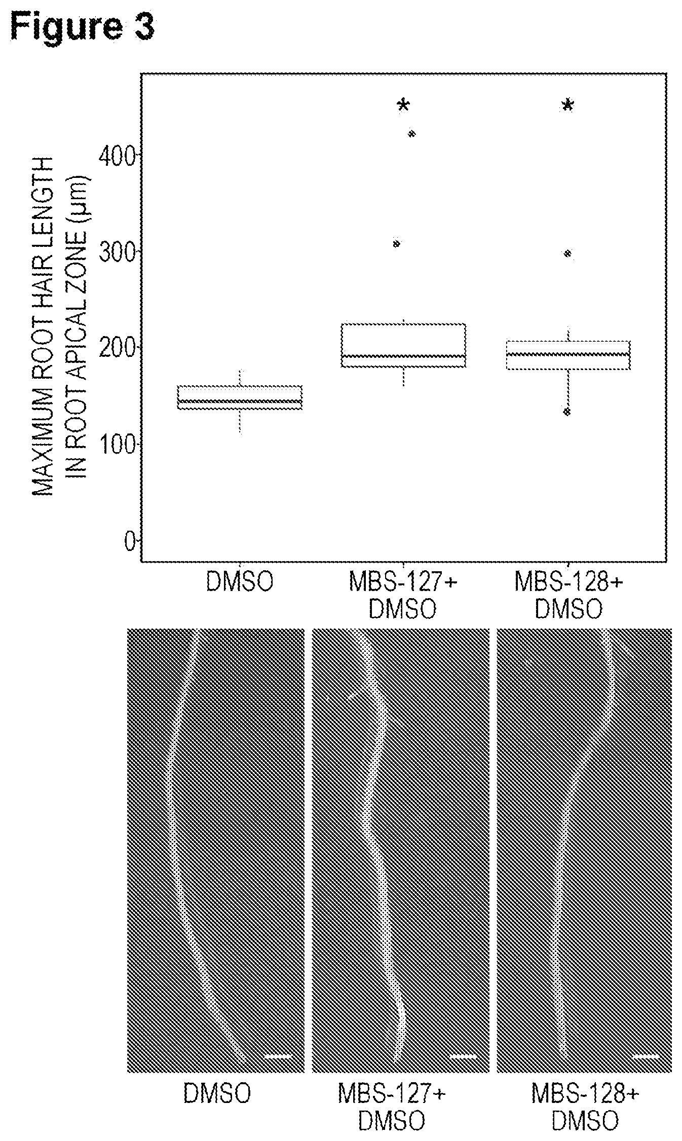 Patent US11787763 Figure 3 – Strigolactone derivauves