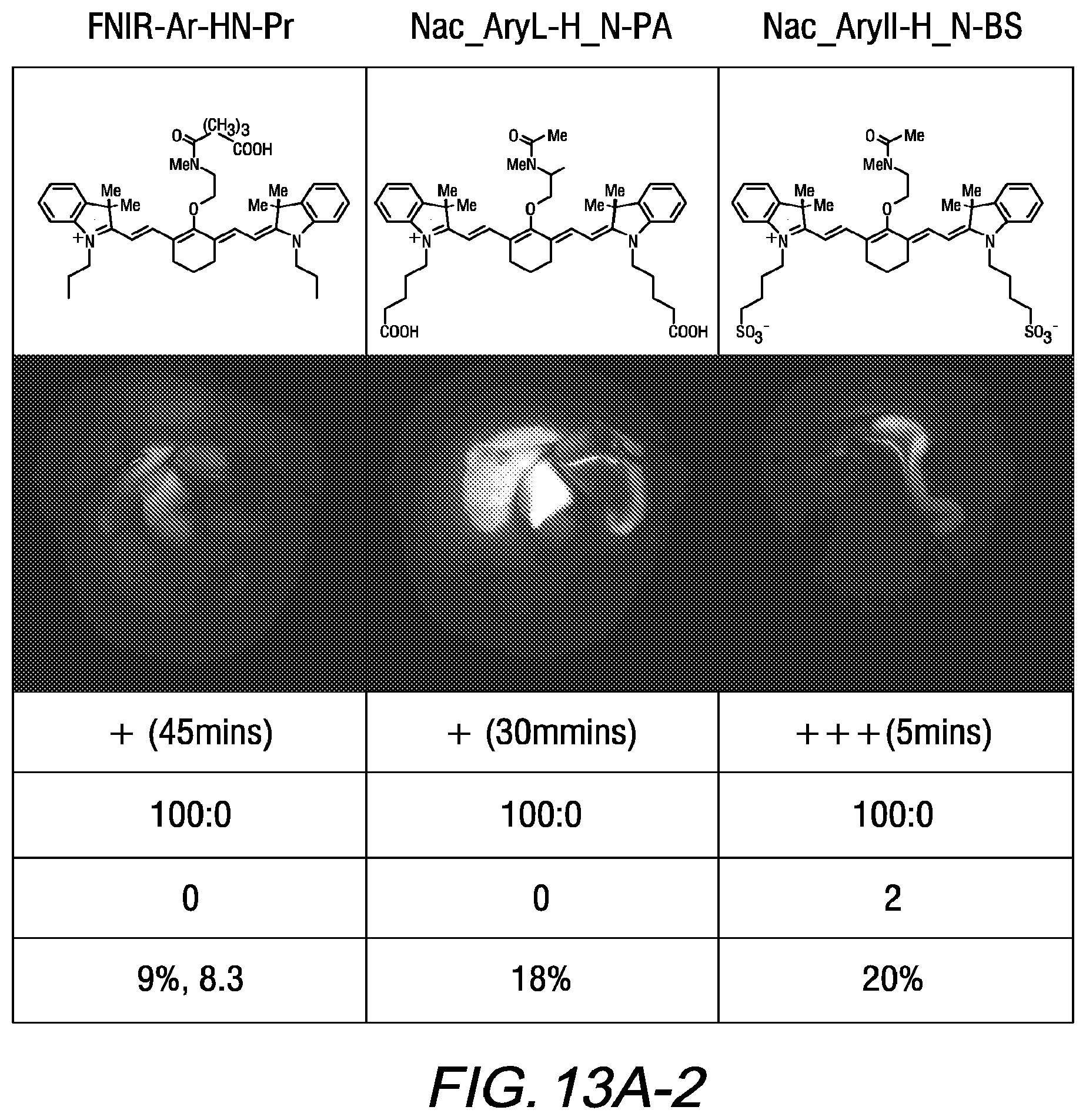 Patent US11787764 Figure 13 – Heptamethine cyanines for use as fluorescent markers of the biliary and renal systems