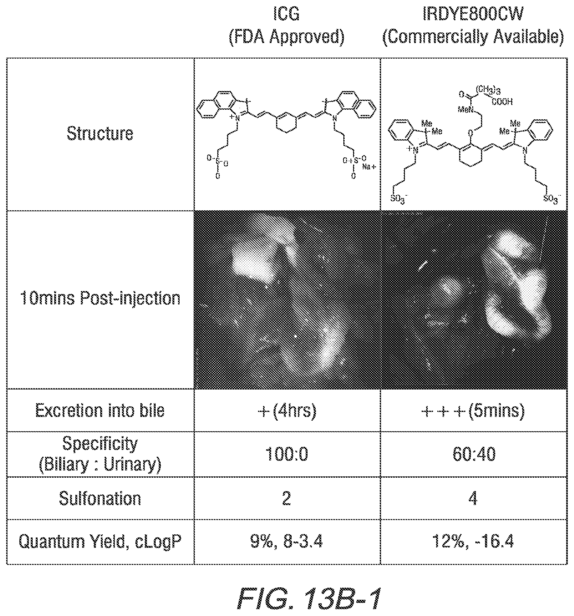 Patent US11787764 Figure 14 – Heptamethine cyanines for use as fluorescent markers of the biliary and renal systems