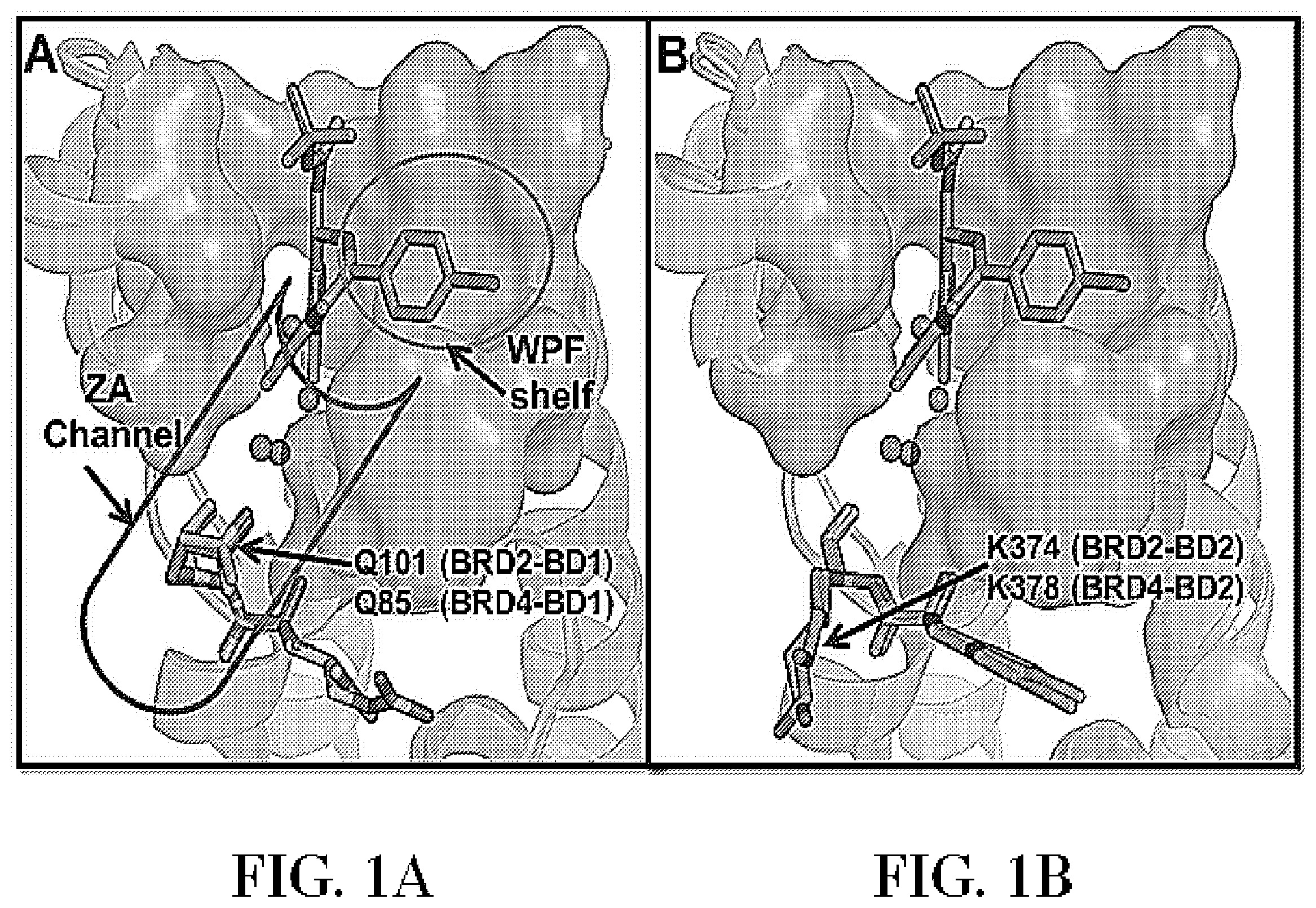 Patent US11787768 Figure 1 – Tetrahydroquinoline-based bromodomain inhibitors