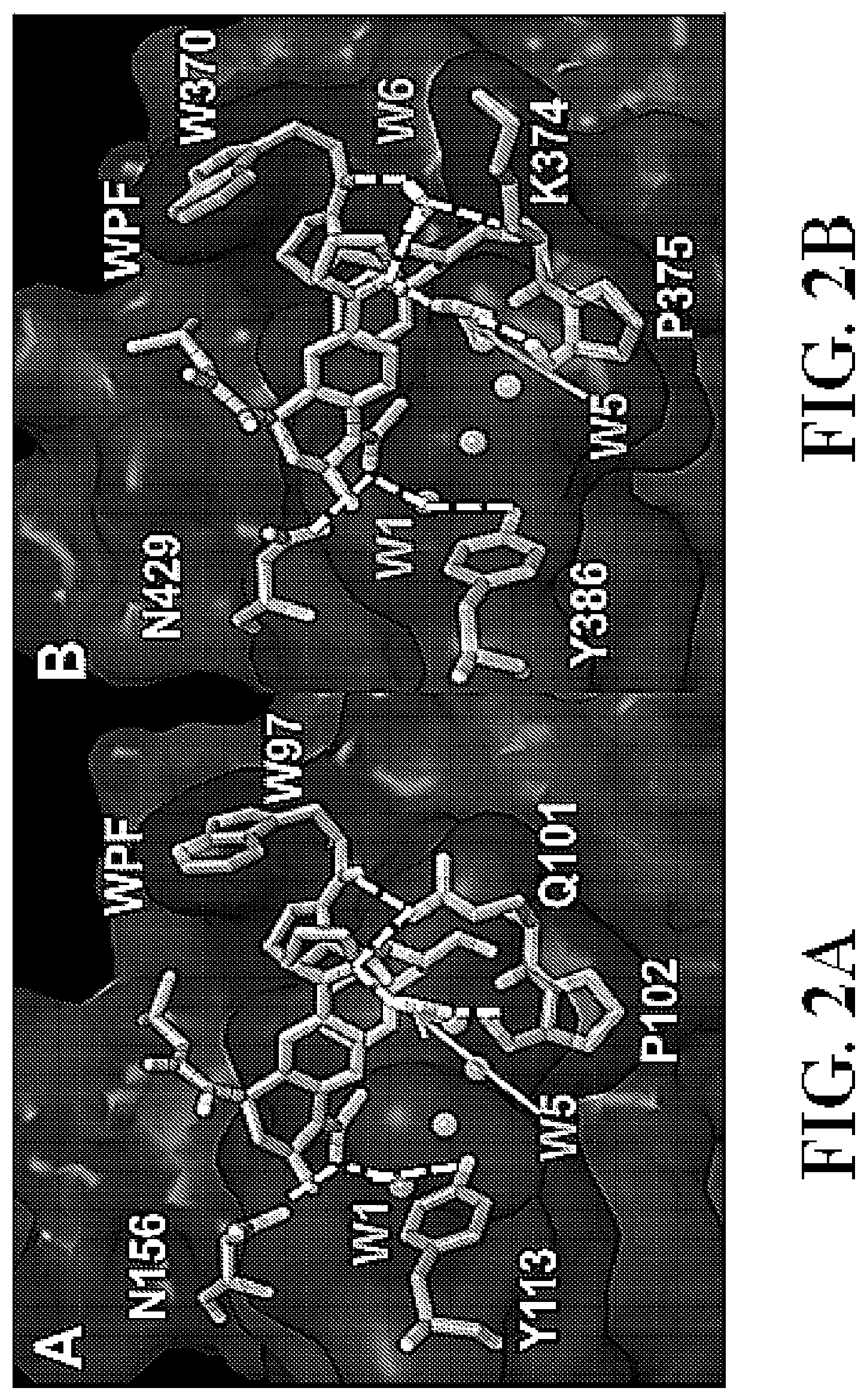 Patent US11787768 Figure 2 – Tetrahydroquinoline-based bromodomain inhibitors
