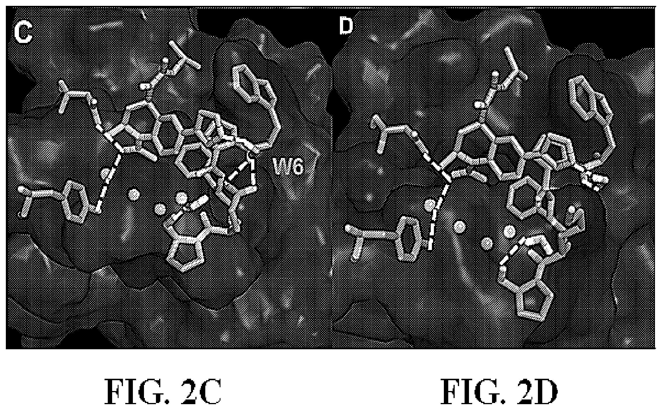 Patent US11787768 Figure 3 – Tetrahydroquinoline-based bromodomain inhibitors