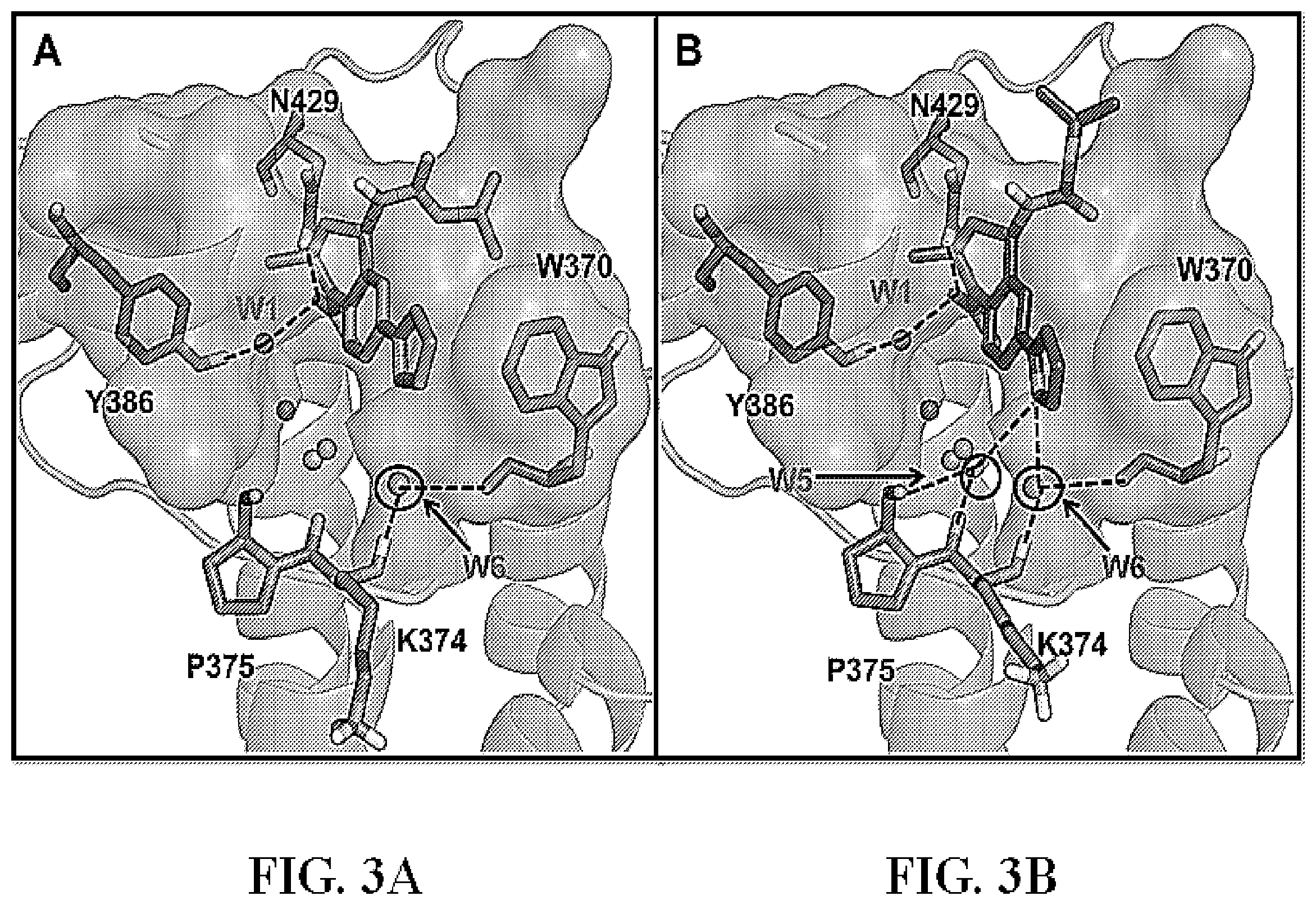 Patent US11787768 Figure 4 – Tetrahydroquinoline-based bromodomain inhibitors