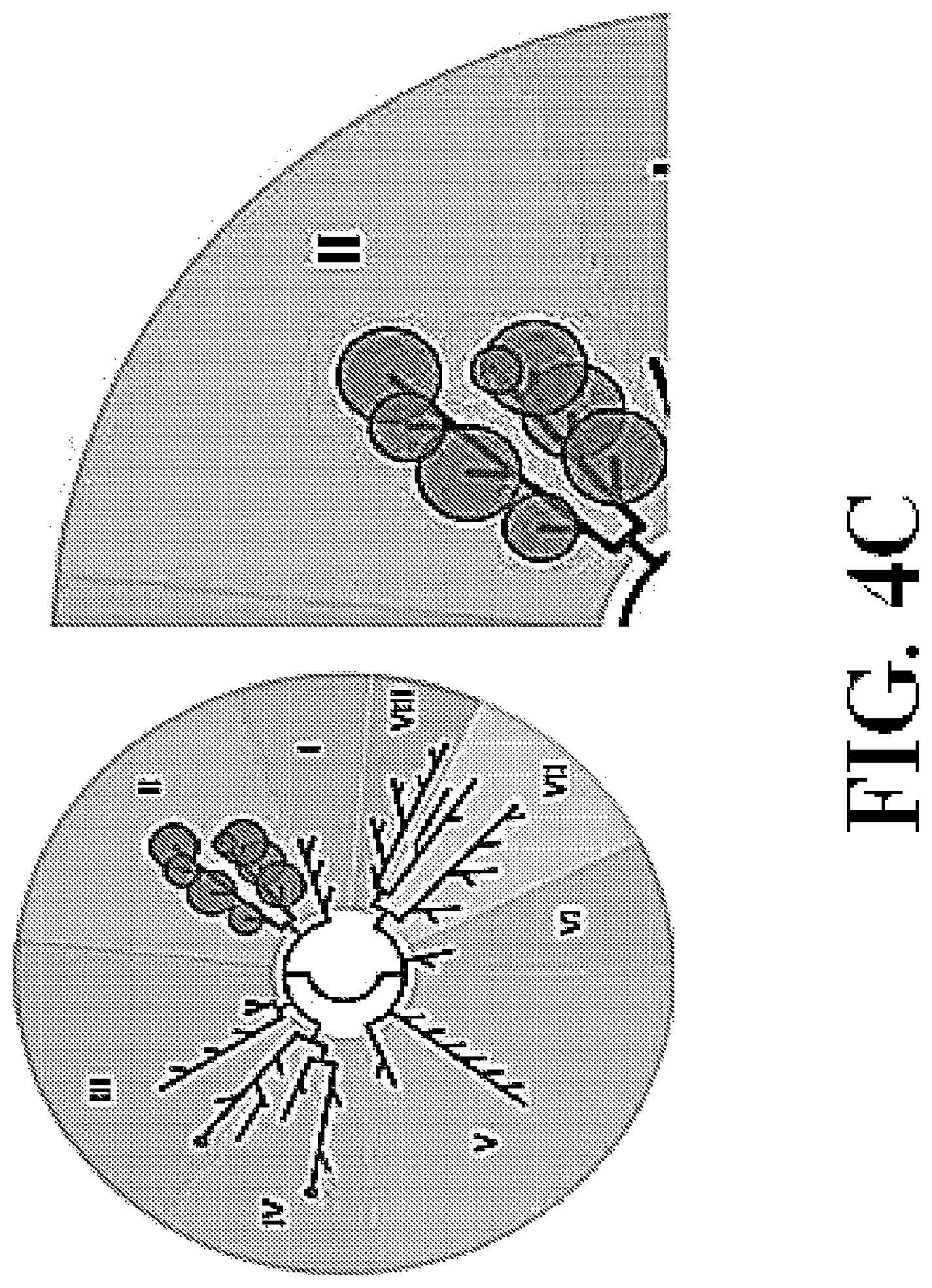 Patent US11787768 Figure 6 – Tetrahydroquinoline-based bromodomain inhibitors