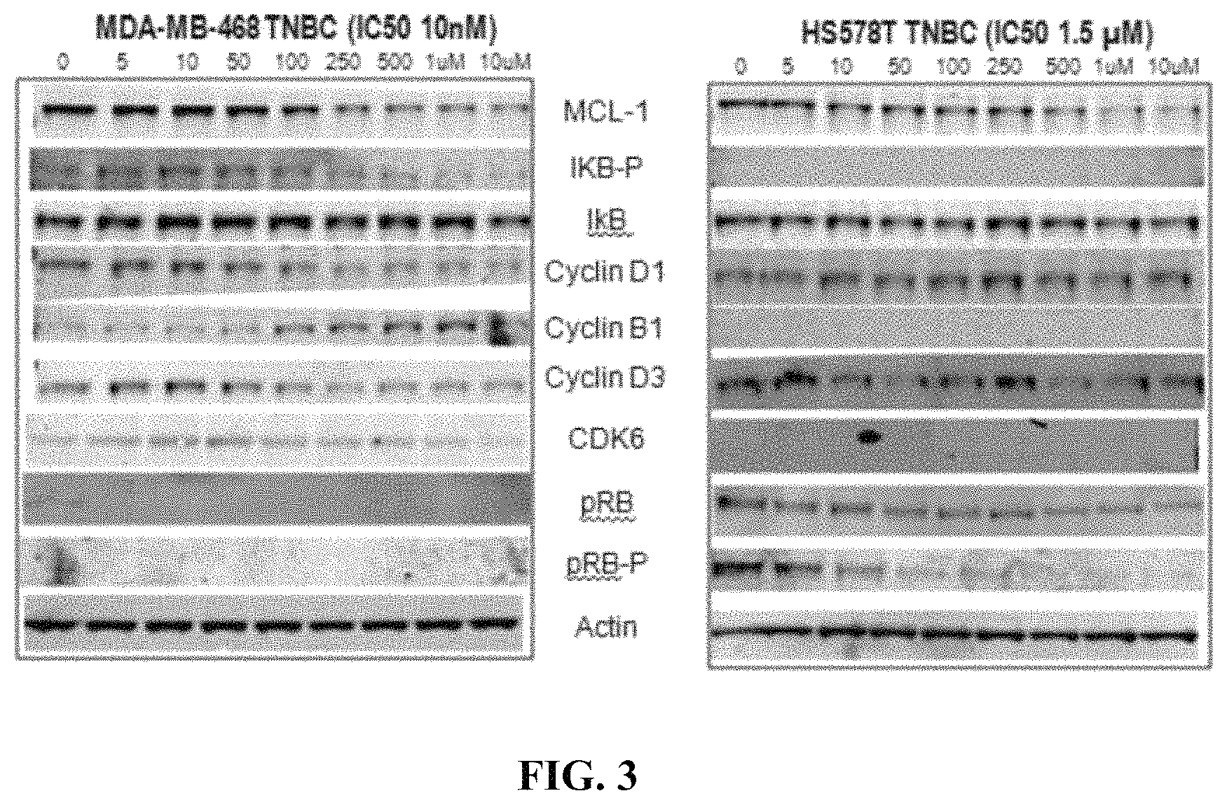 Patent US11787771 Figure 3 – Hydrazide containing nuclear transport modulators and uses thereof