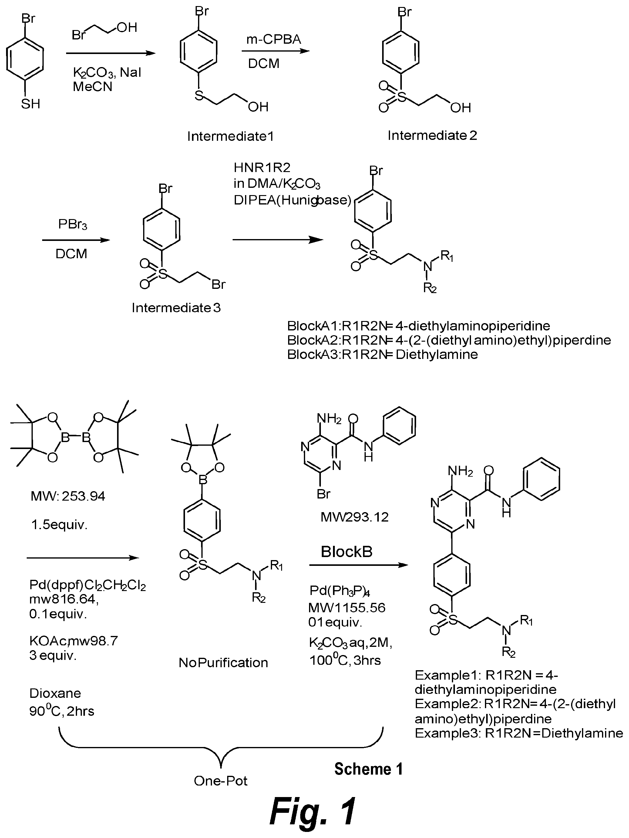 Patent US11787781 Figure 1 – Inhibiting ataxia telangiectasia and RAD3-related protein (ATR)