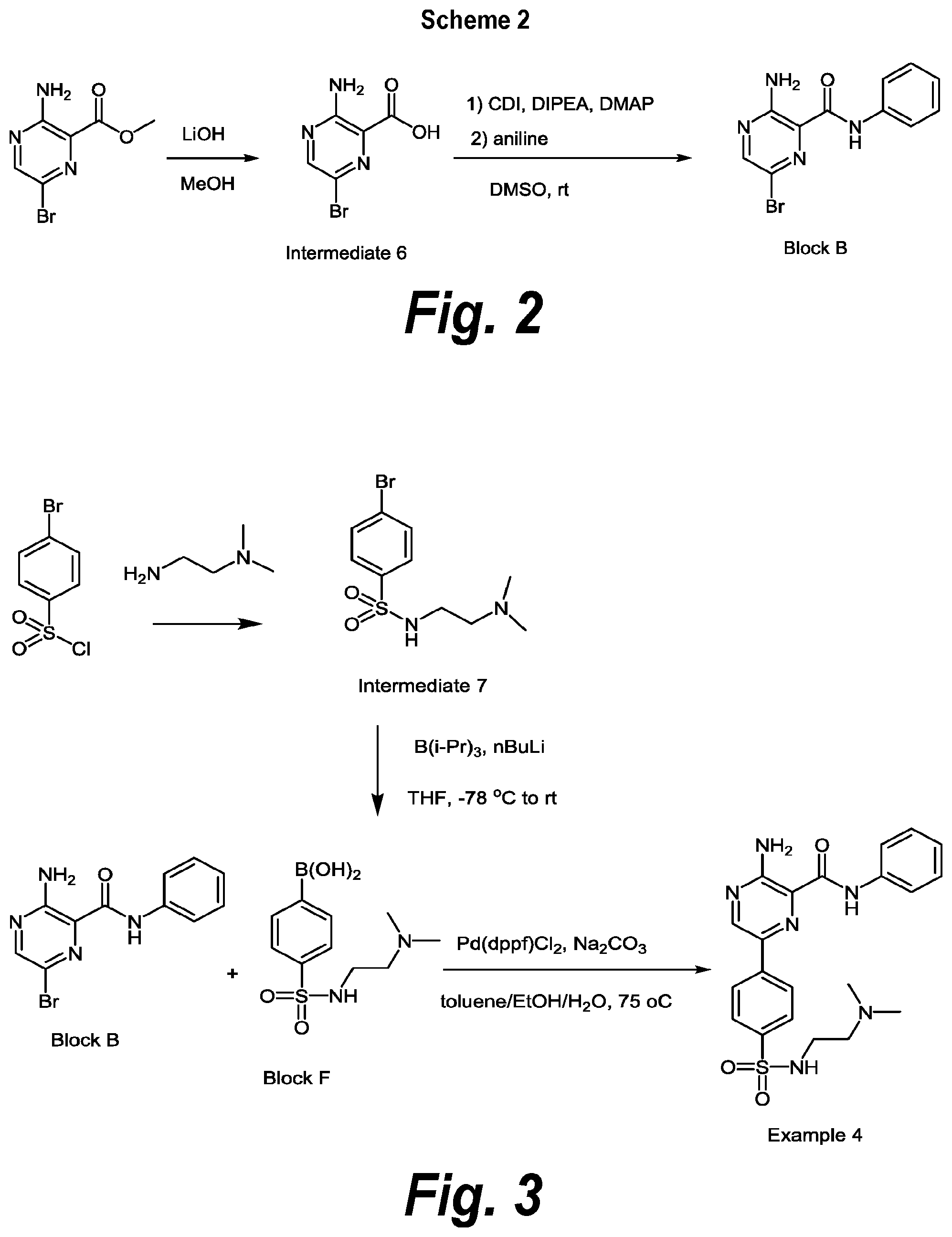 Patent US11787781 Figure 2 – Inhibiting ataxia telangiectasia and RAD3-related protein (ATR)