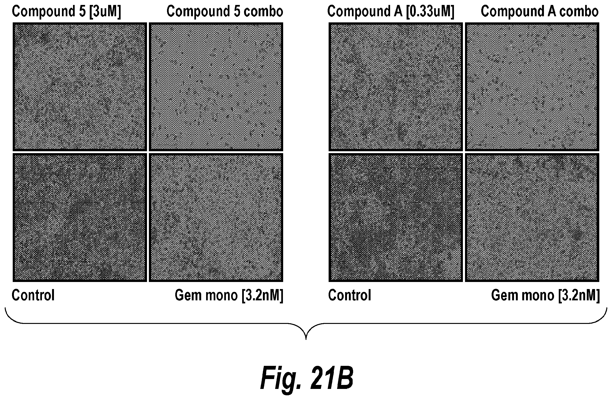 Patent US11787781 Figure 20 – Inhibiting ataxia telangiectasia and RAD3-related protein (ATR)