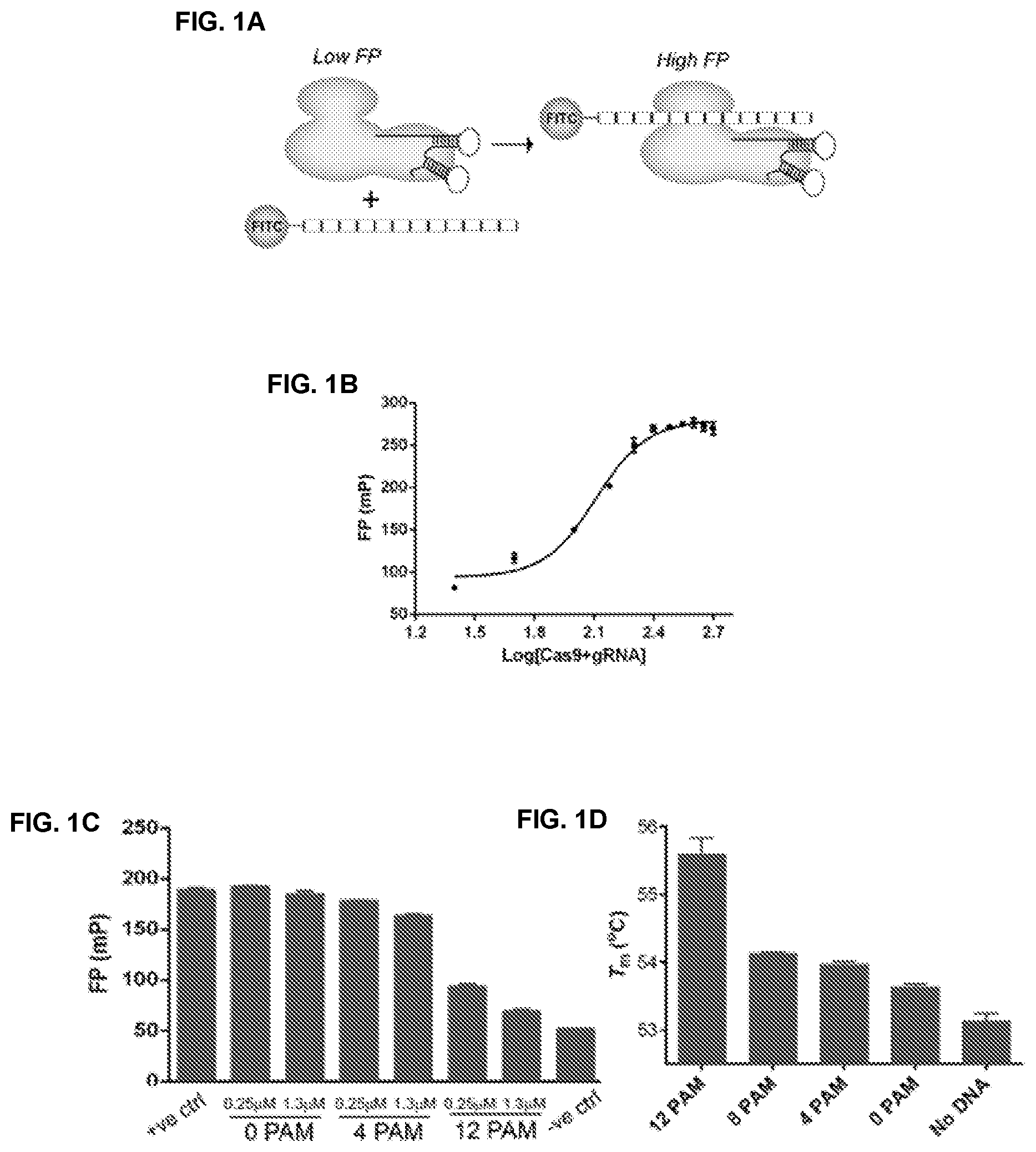 Patent US11787795 Figure 1 – Inhibitors of RNA guided nucleases and uses thereof