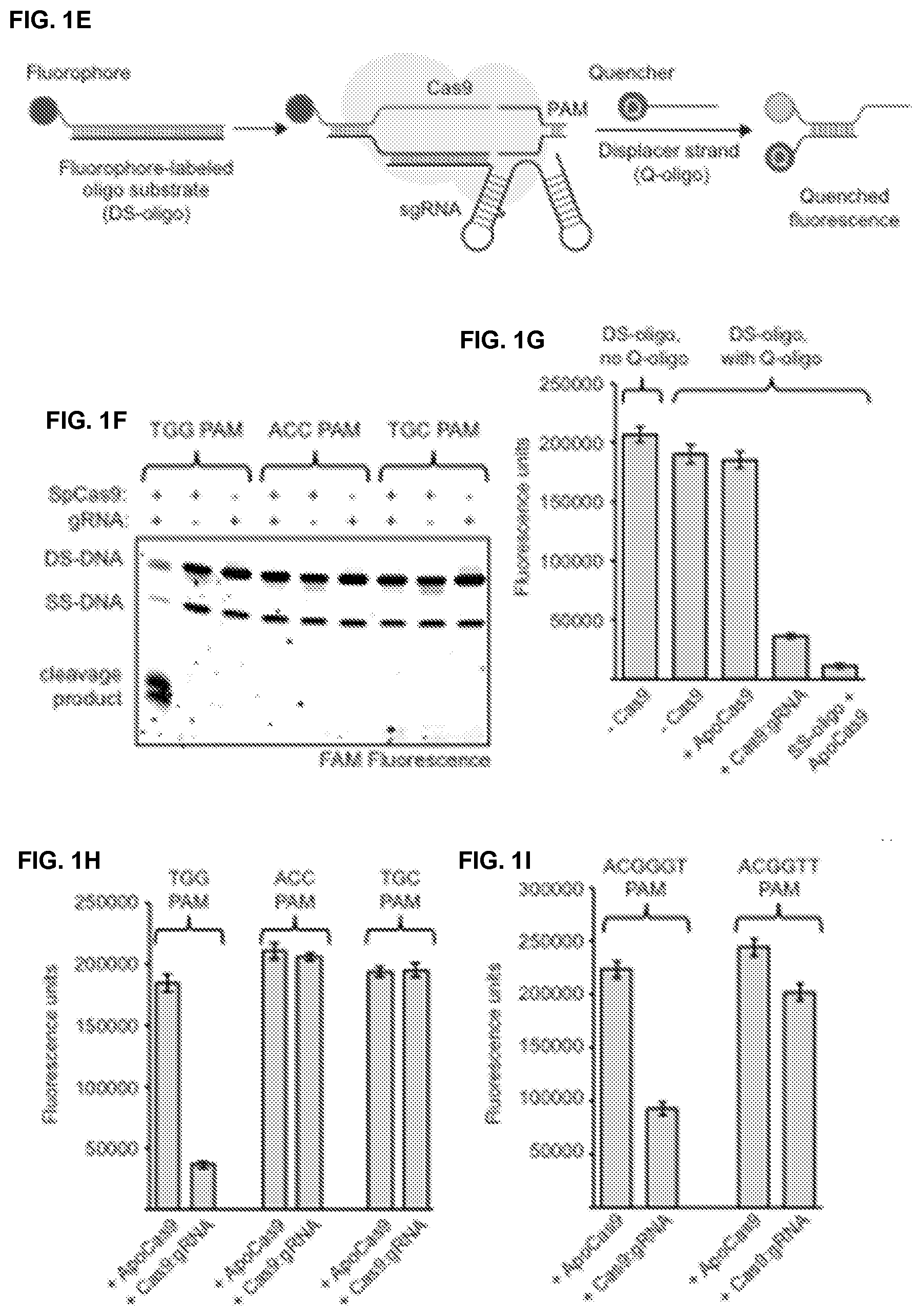 Patent US11787795 Figure 2 – Inhibitors of RNA guided nucleases and uses thereof