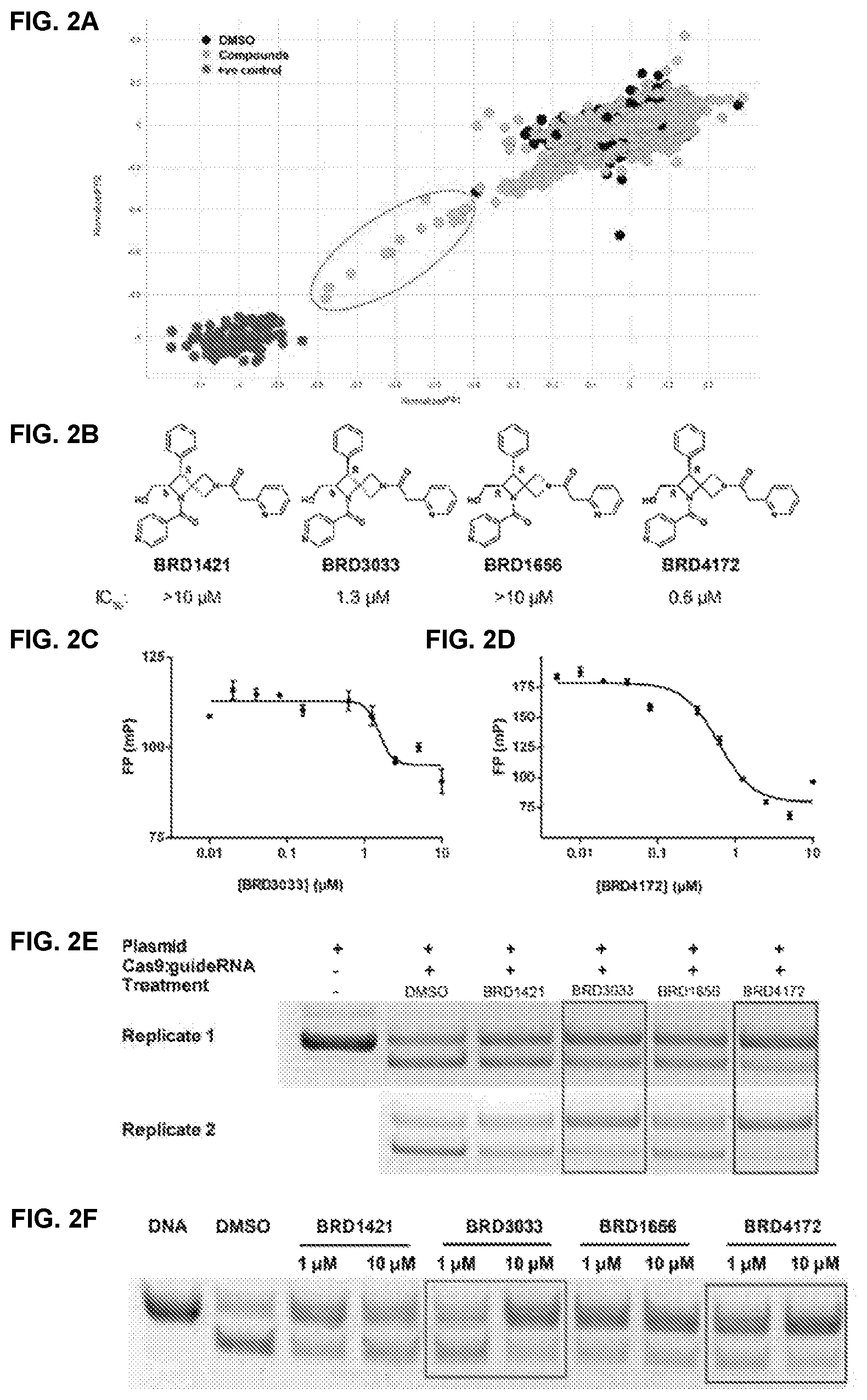 Patent US11787795 Figure 4 – Inhibitors of RNA guided nucleases and uses thereof