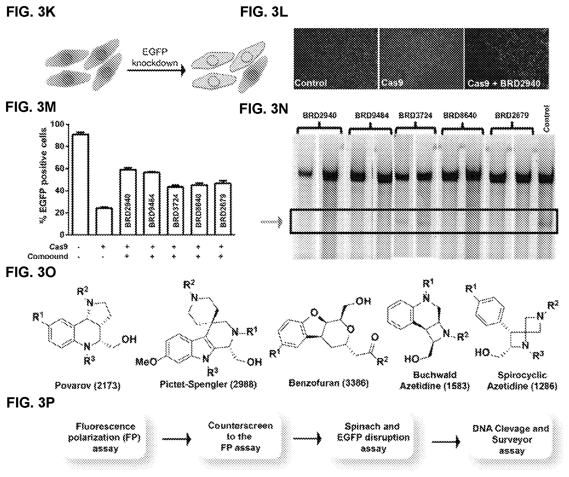 Patent US11787795 Figure 8 – Inhibitors of RNA guided nucleases and uses thereof