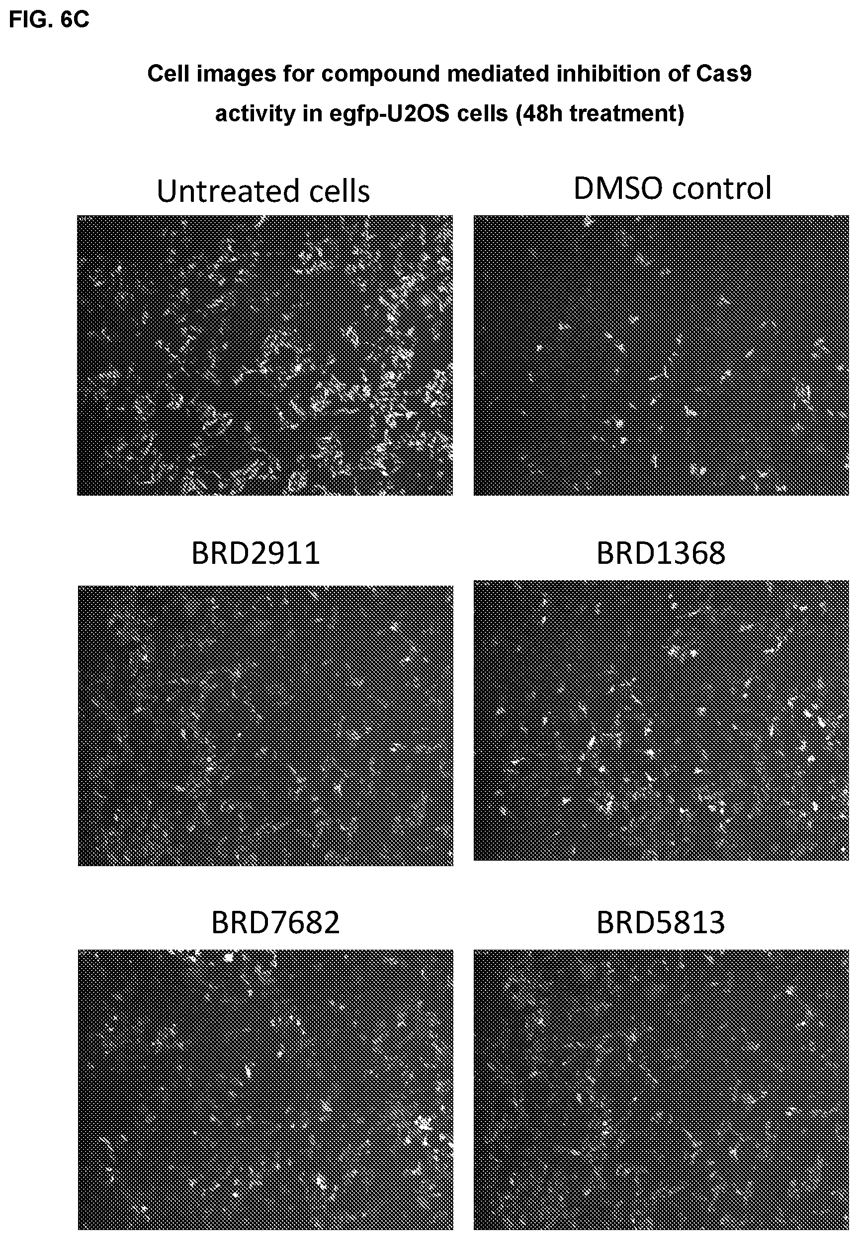 Patent US11787795 Figure 19 – Inhibitors of RNA guided nucleases and uses thereof