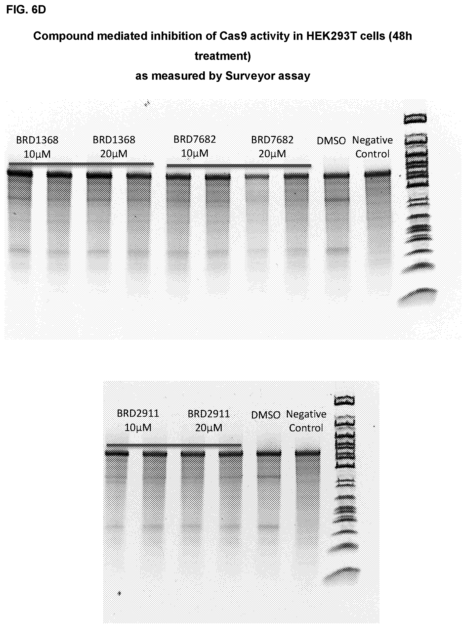 Patent US11787795 Figure 20 – Inhibitors of RNA guided nucleases and uses thereof